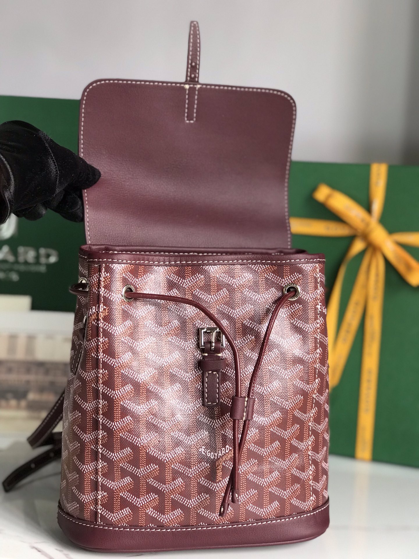 Goyard Alpin Backpack Coated Canvas Mini Red 2557501