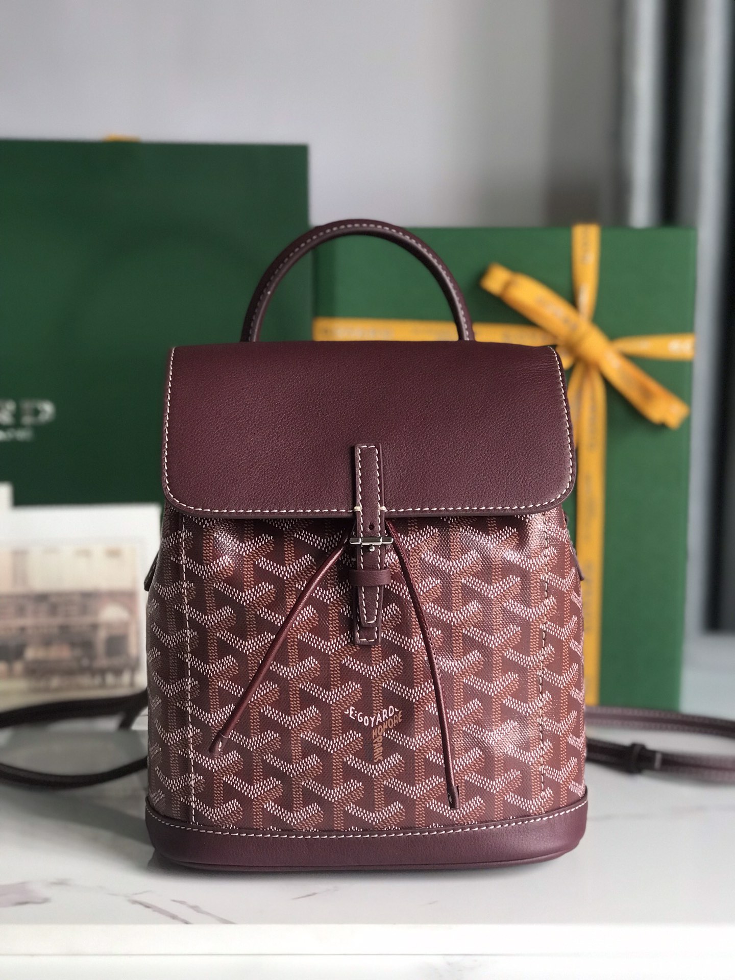 Goyard Alpin Backpack Coated Canvas Mini Red 2557501
