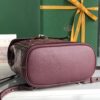 Goyard Alpin Backpack Coated Canvas Mini Red 2557501