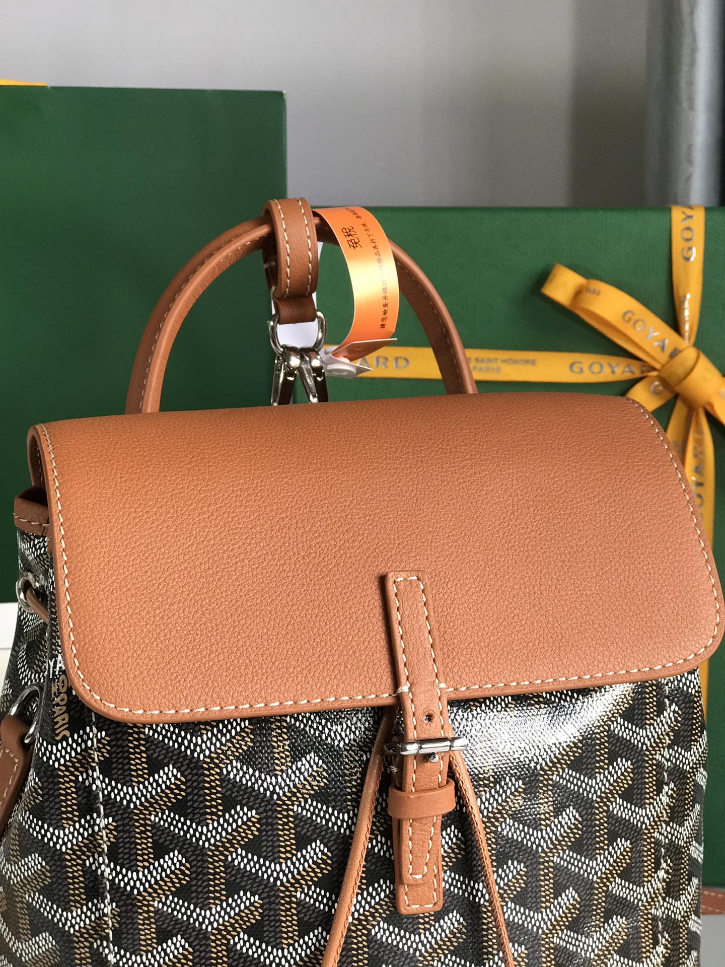 GOYARD Goyardine Calfskin Mini Alpin Backpack Black