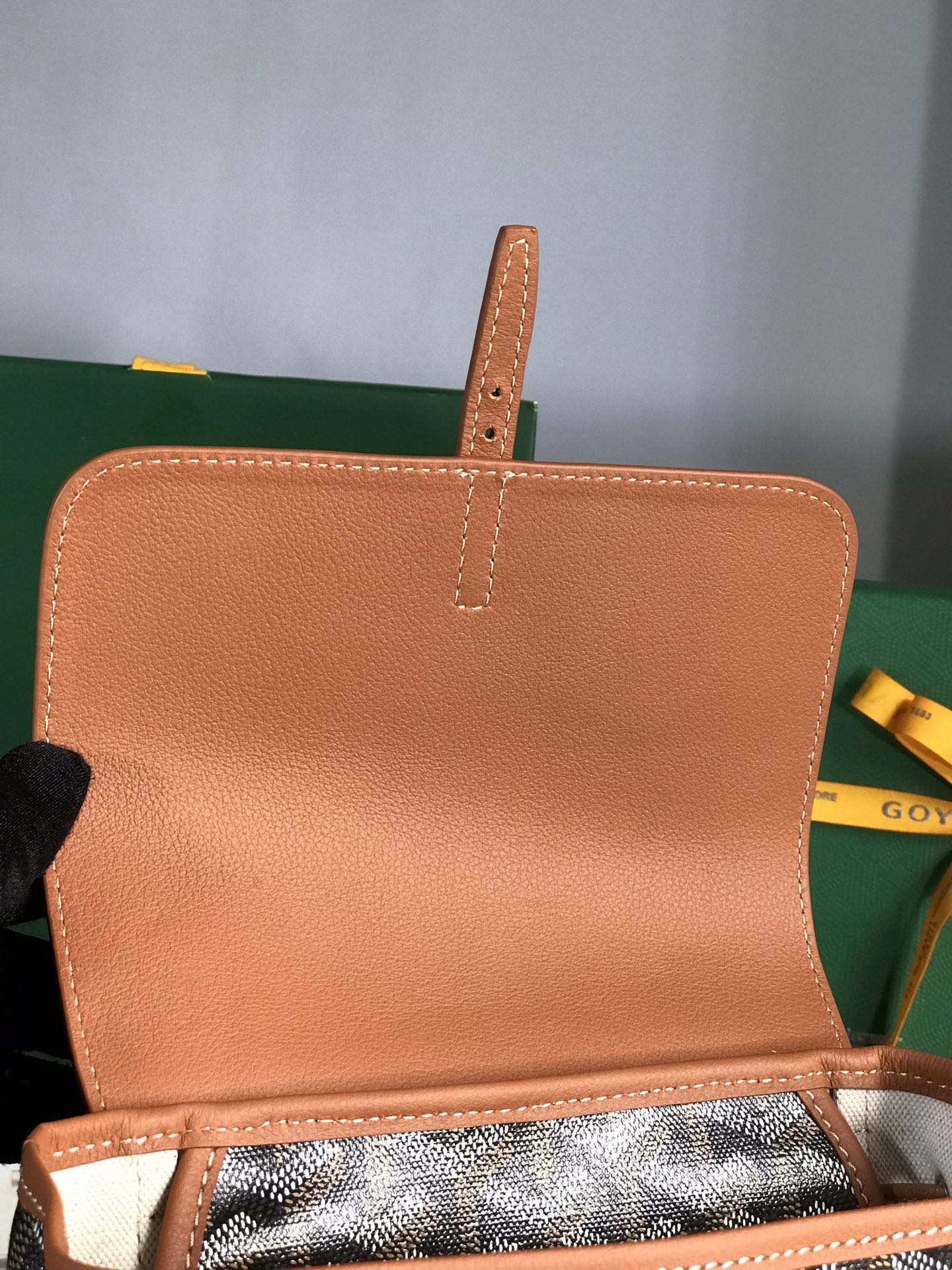 GOYARD Goyardine Calfskin Mini Alpin Backpack Black