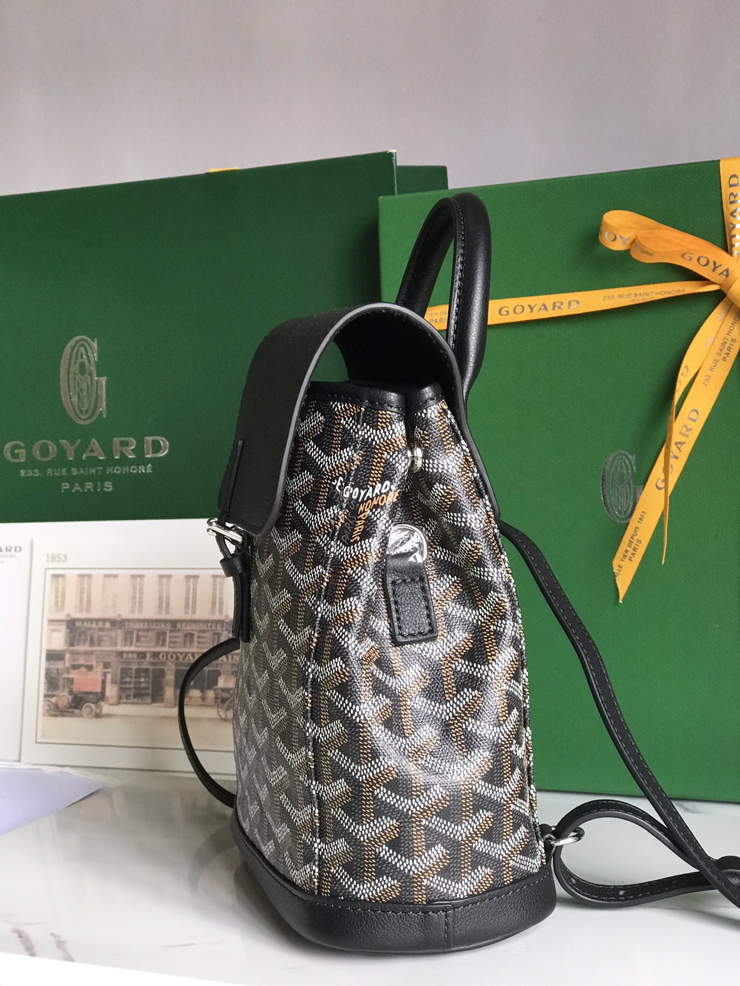 Goyard Alpin Mini Backpack Black/Brown Canvas Leather