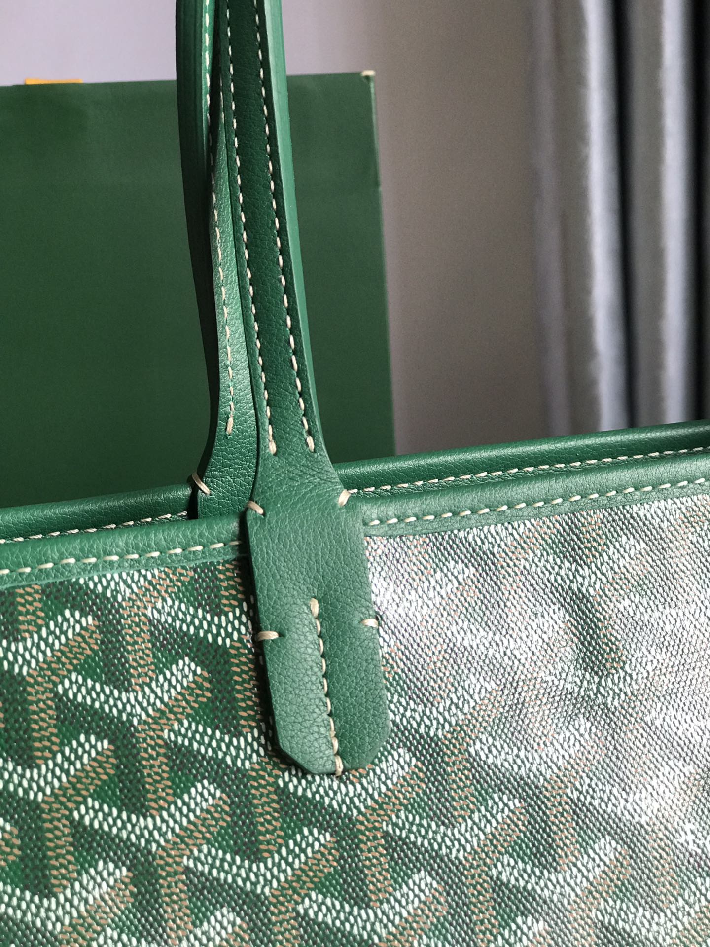 Goyard Saint Louis PM Bag Green