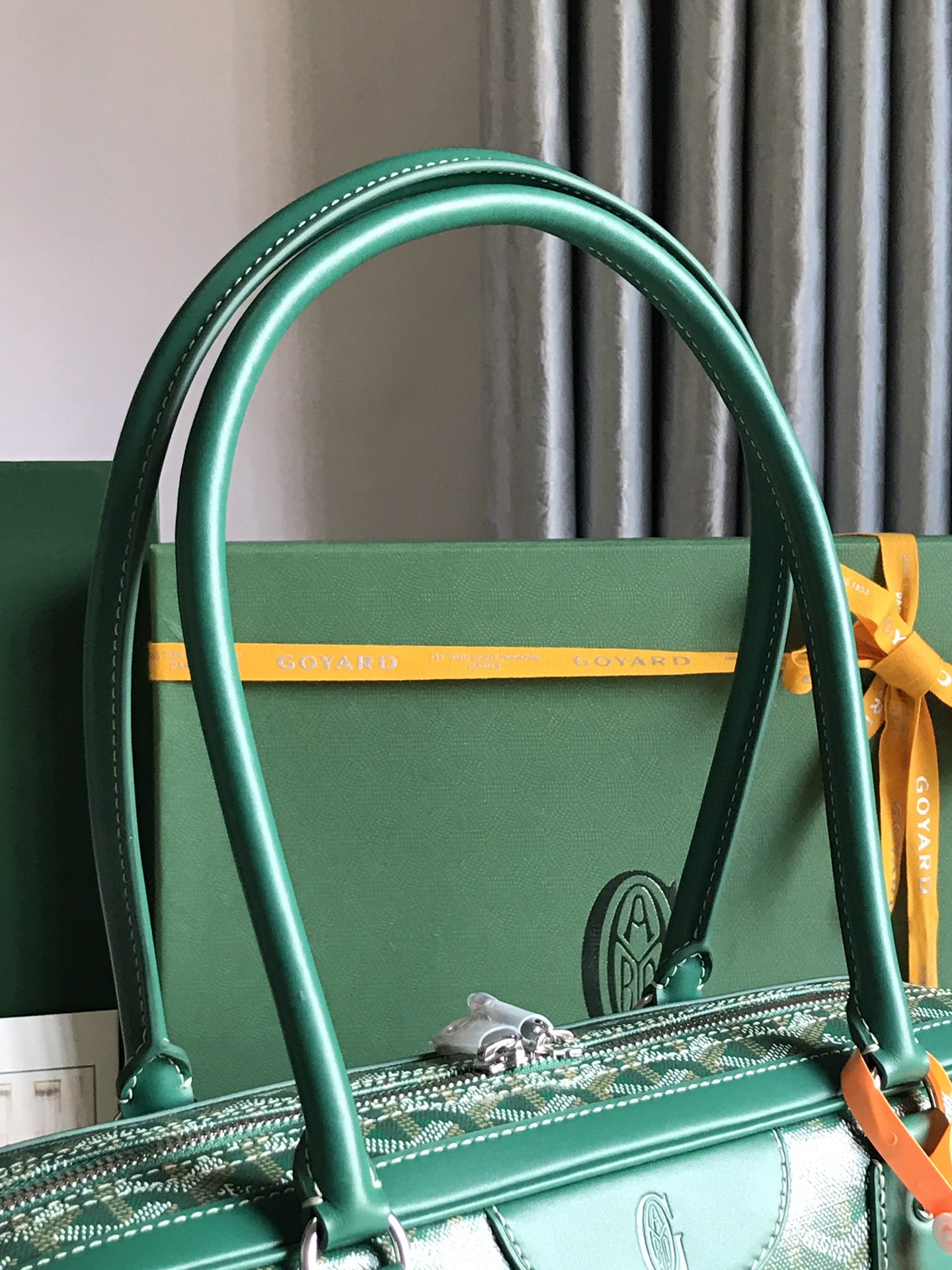 GOYARD Goyardine Saint Martin Green