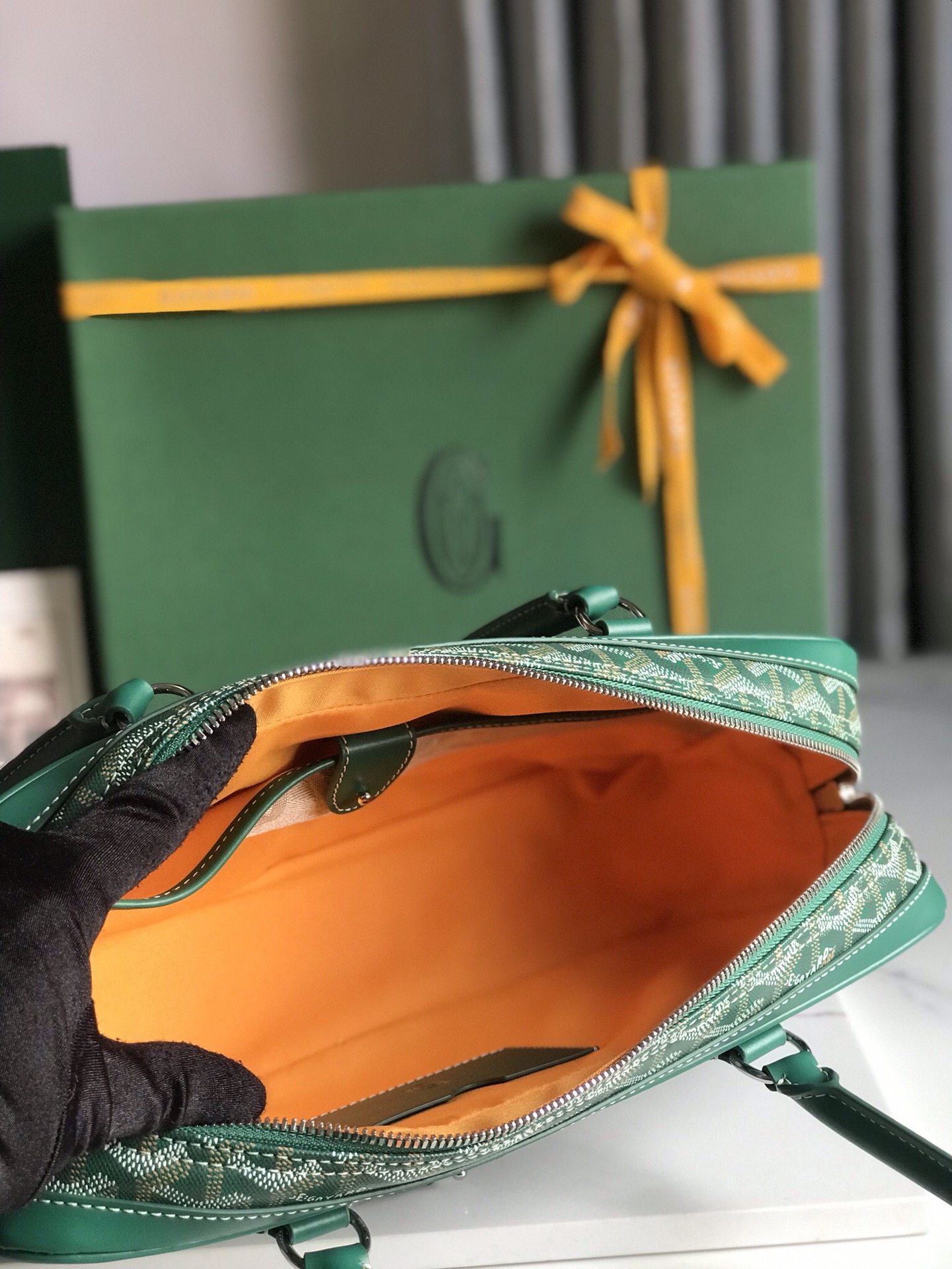 GOYARD Goyardine Saint Martin Green