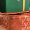 GOYARD Chevron Grand orage 923372 |