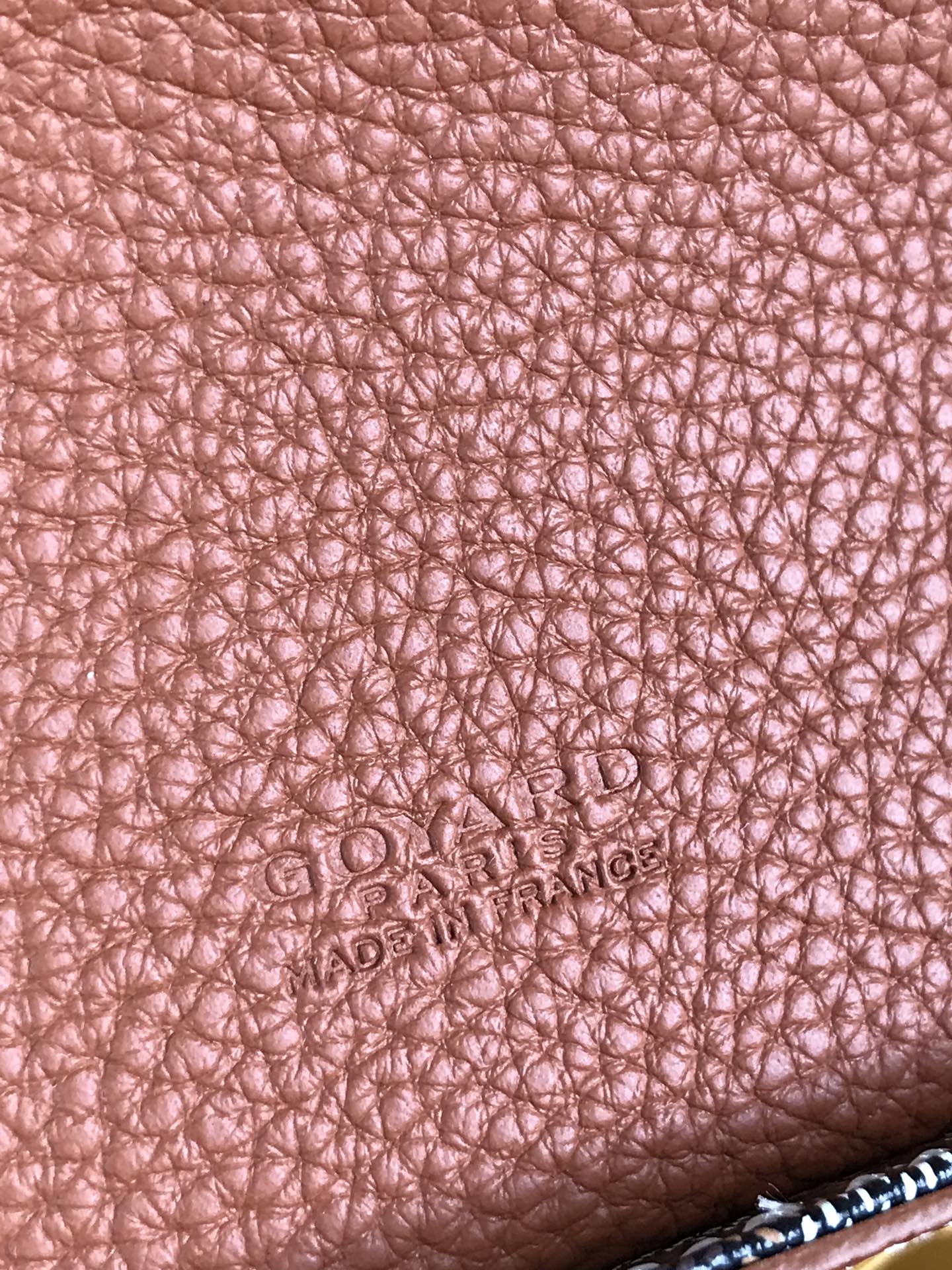 Goyard Black Coated Canvas Mini Cross-Body Bag