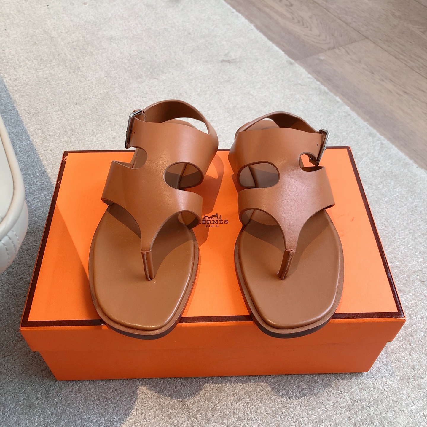 HERMES 00049 HERMES 00049