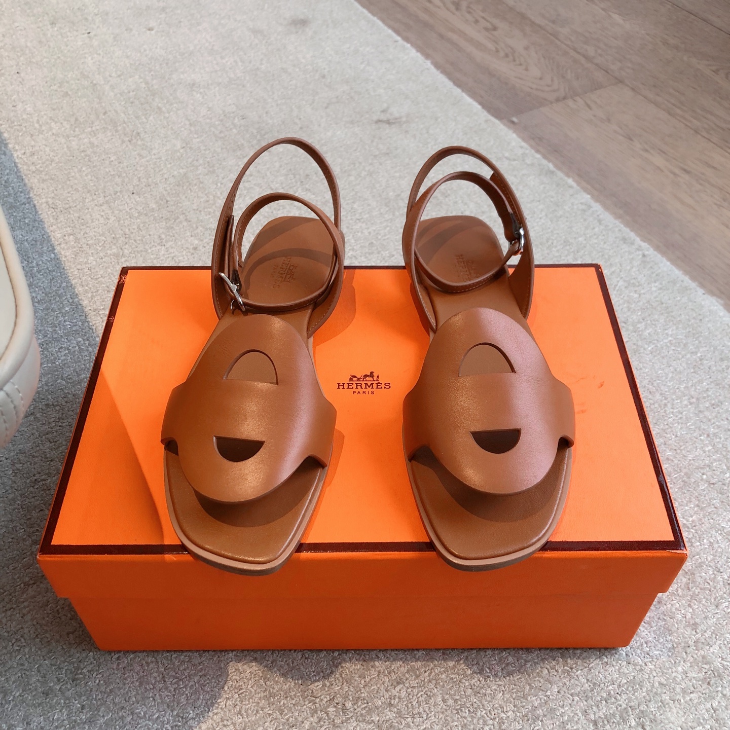 HERMES  001510