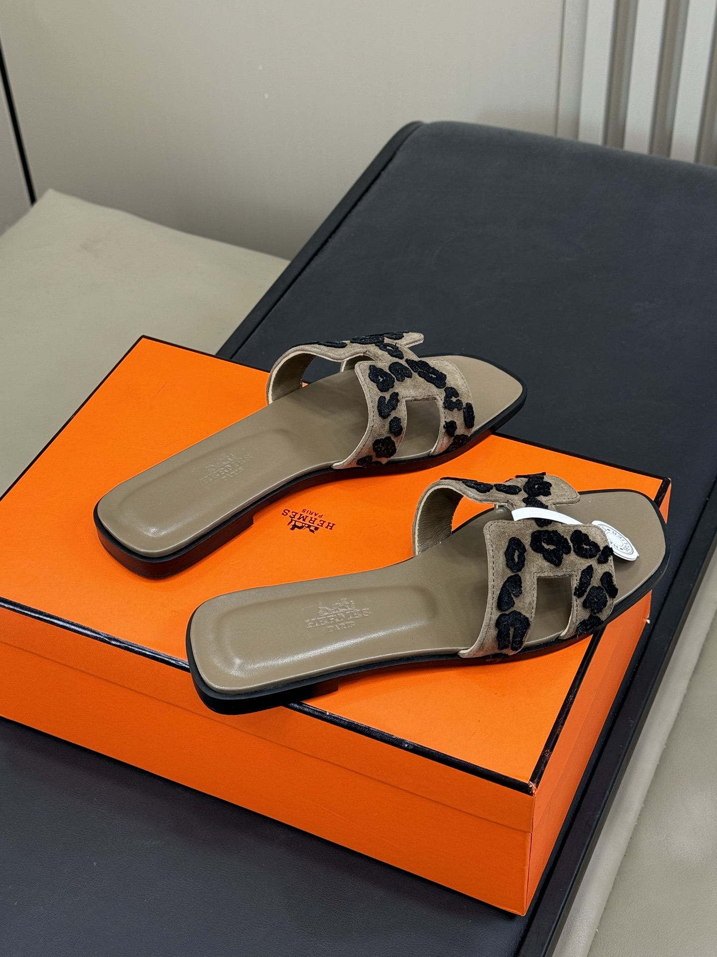 HERMES 00219