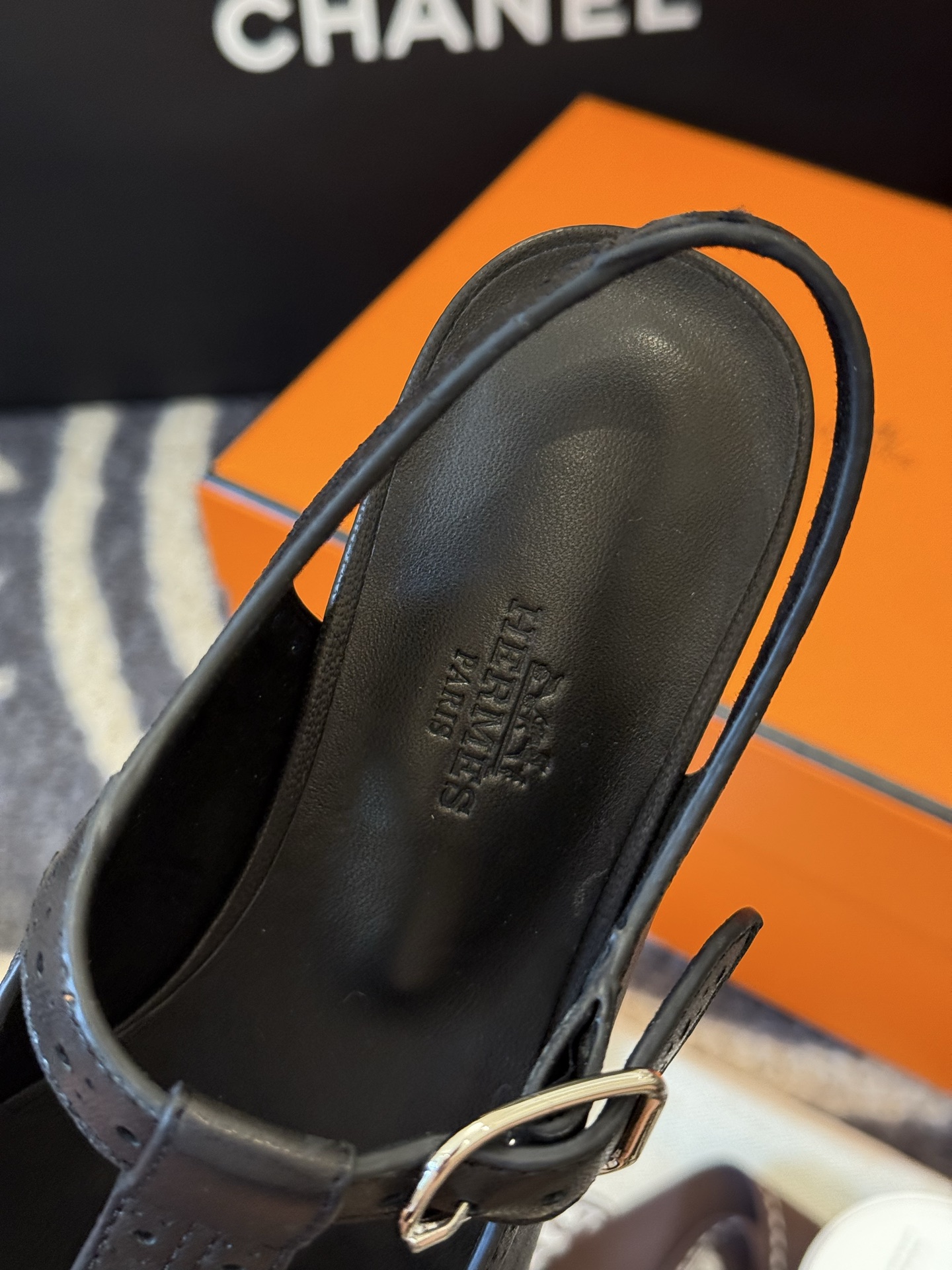 HERMES  00239