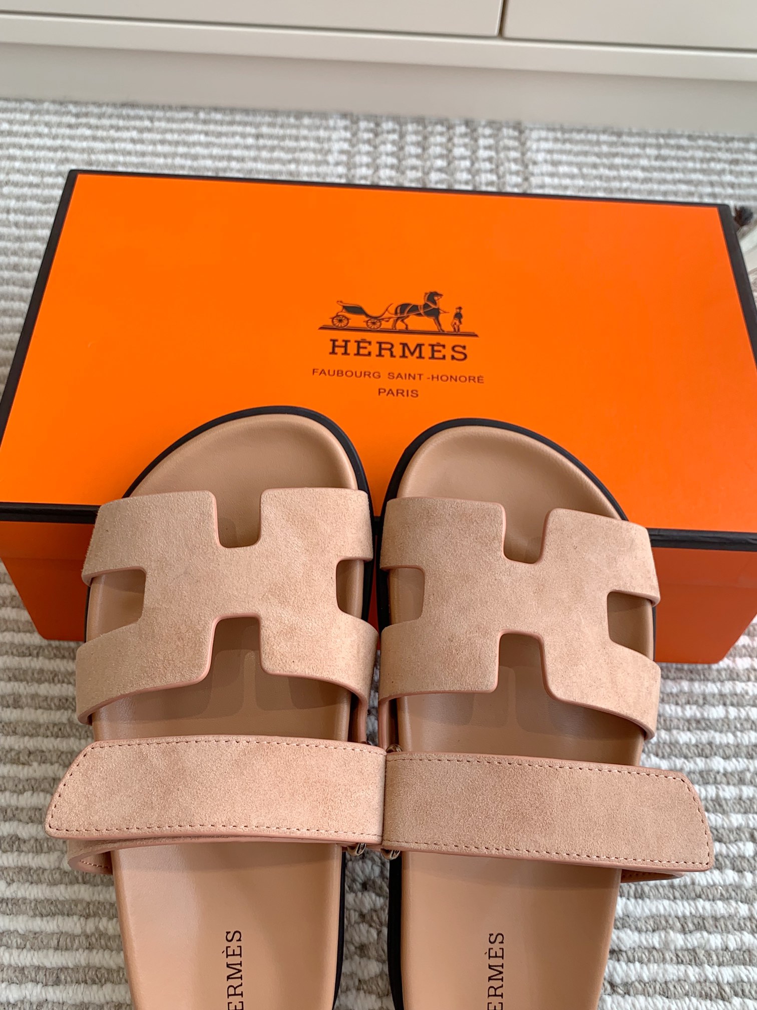 HERMES 00449