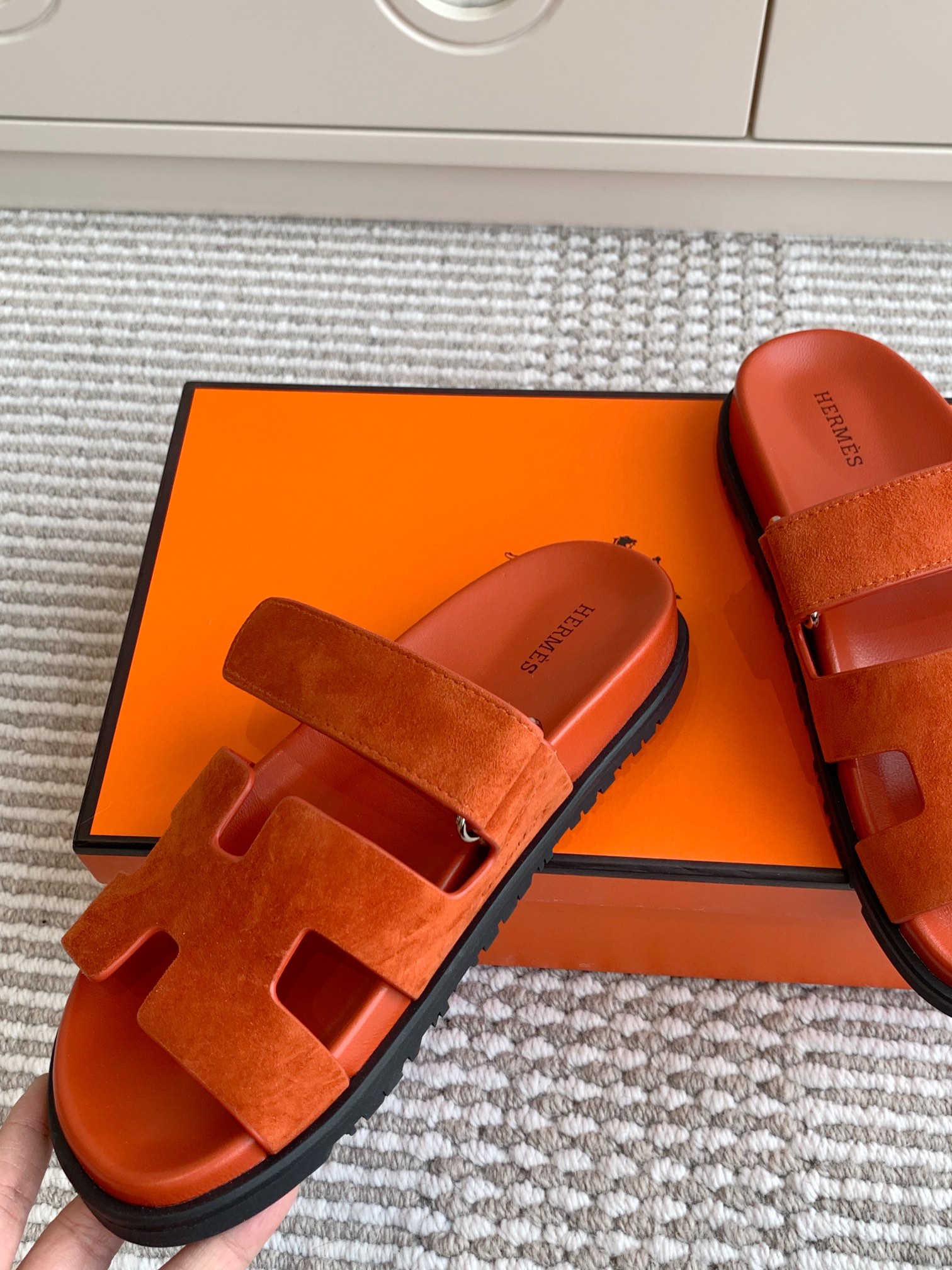 HERMES 00459