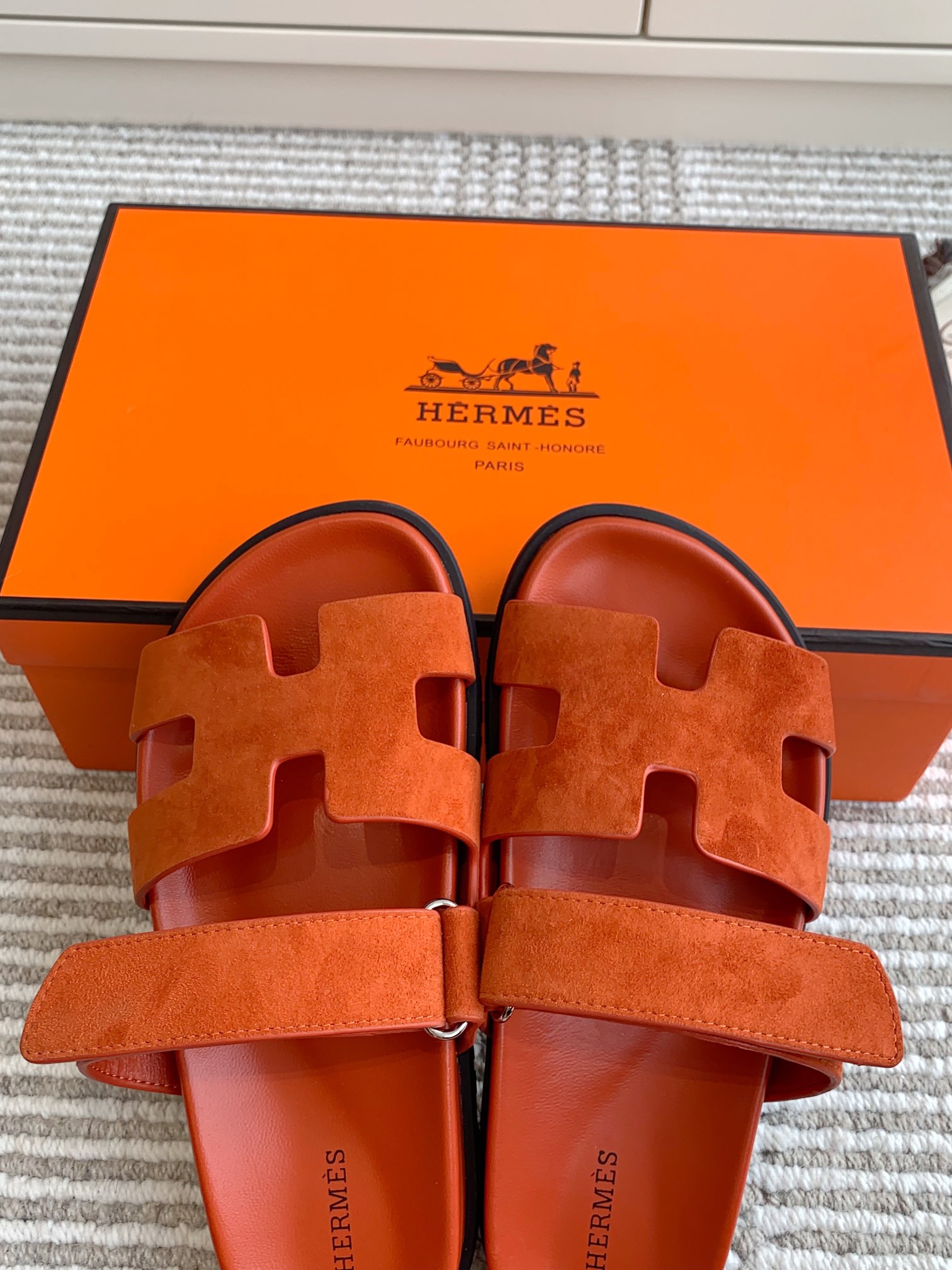 HERMES 00459