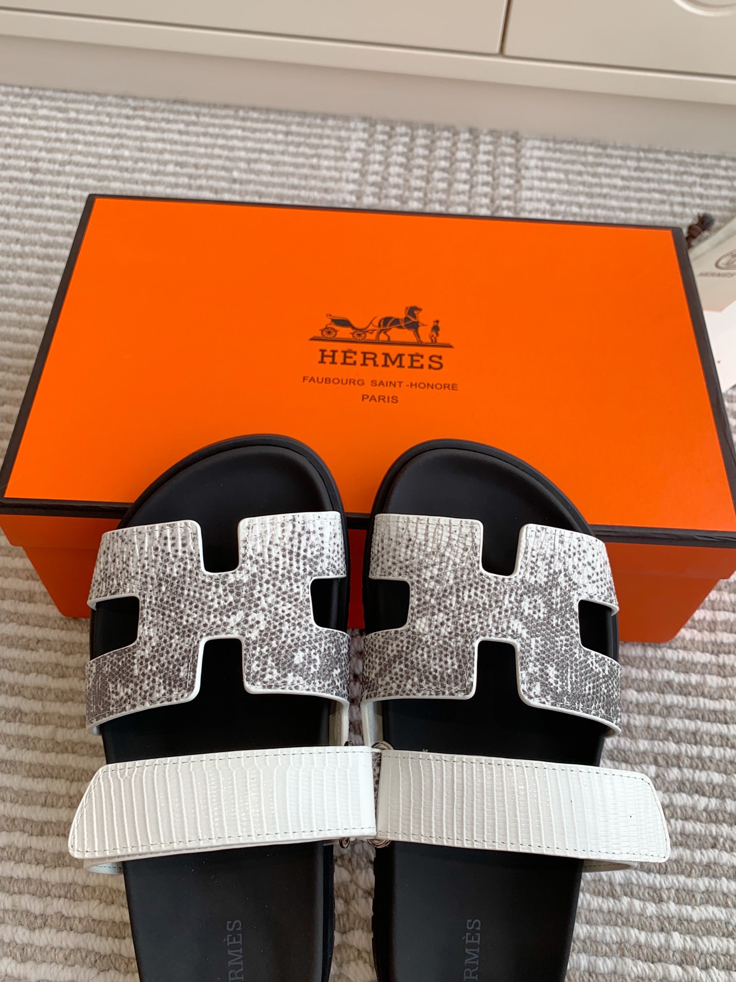HERMES 00469