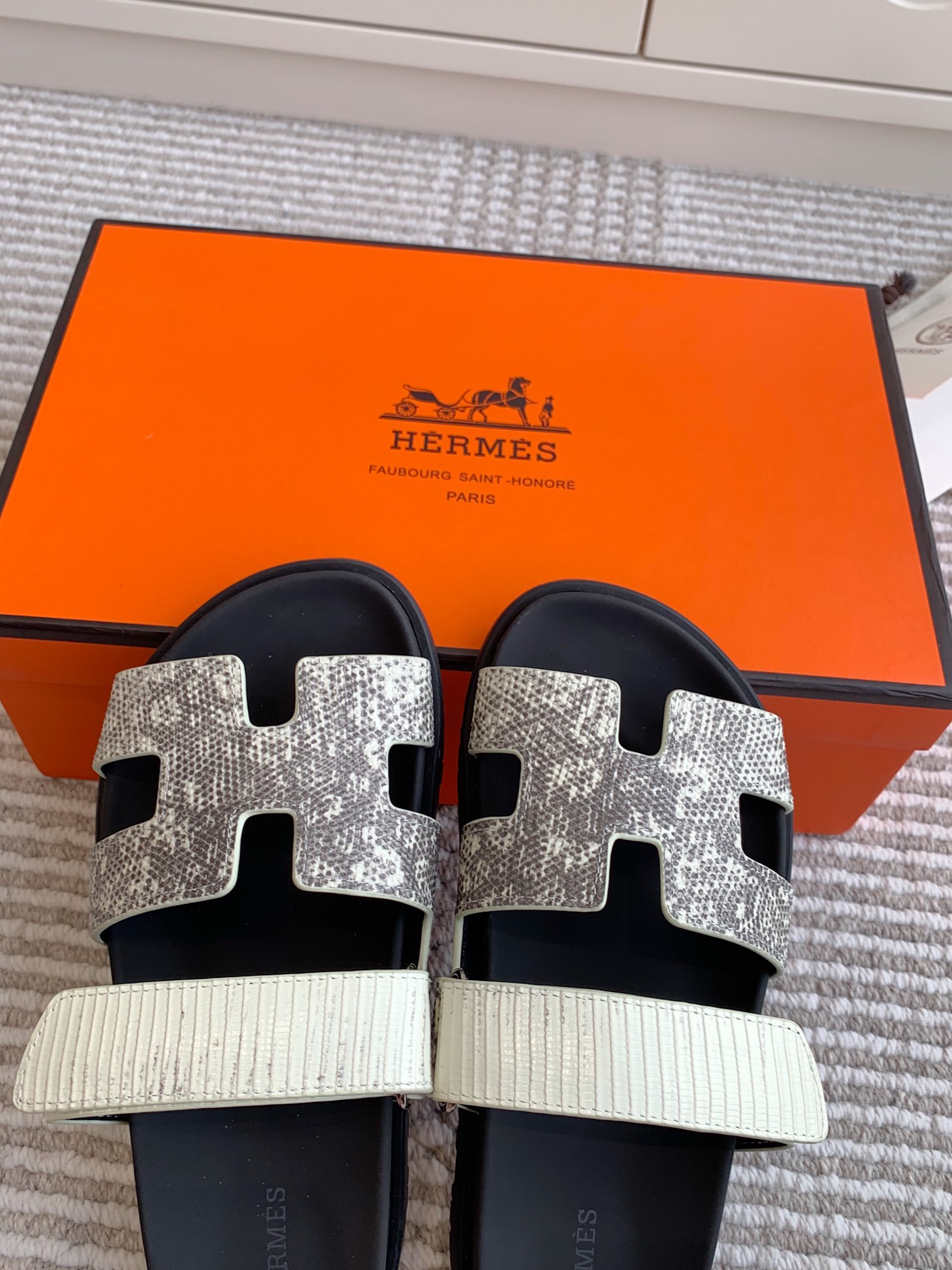 HERMES 00479