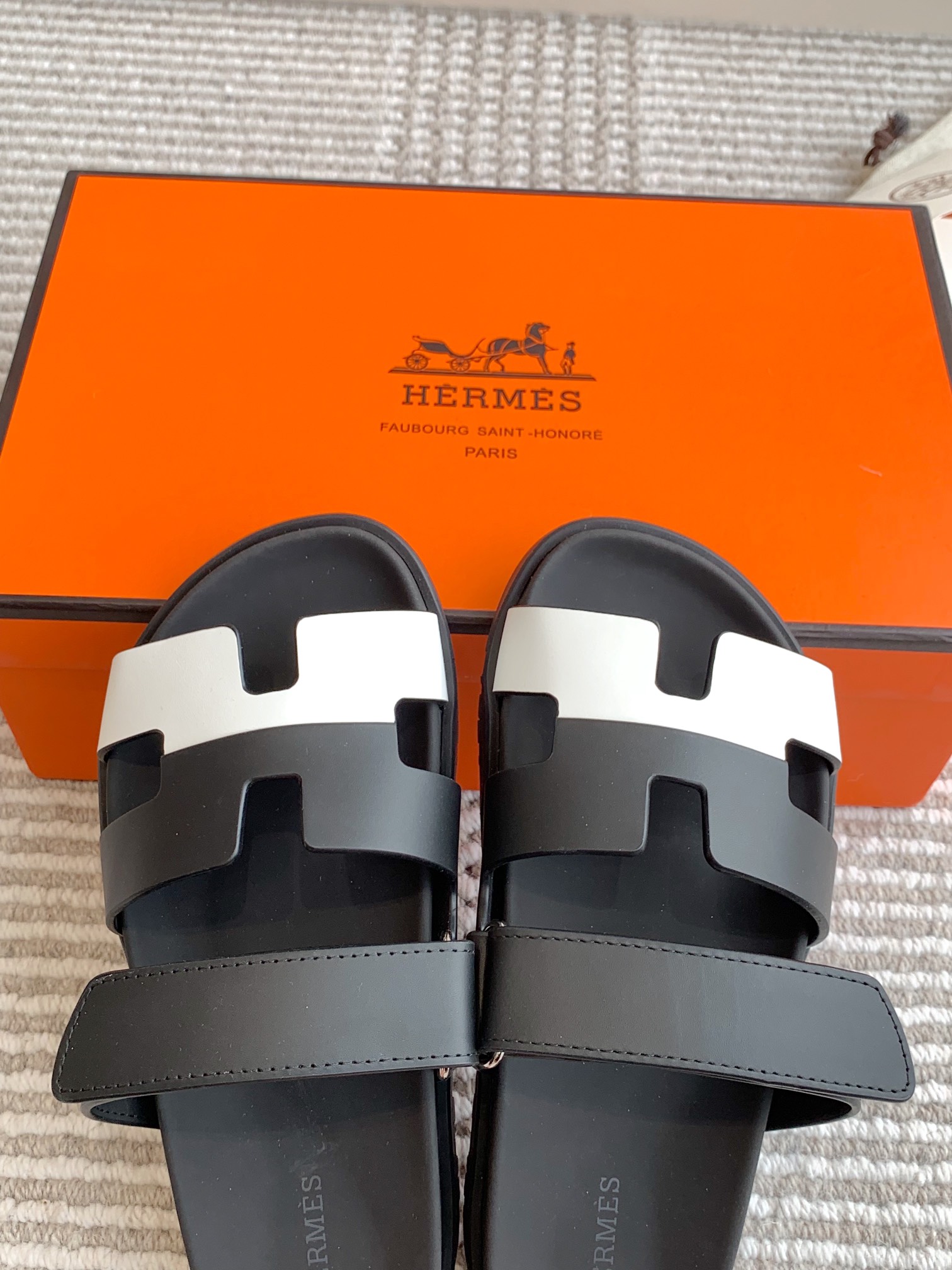 HERMES 00499