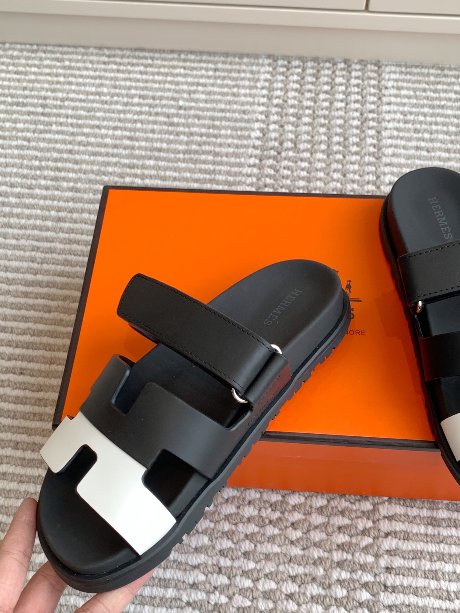 HERMES 00499