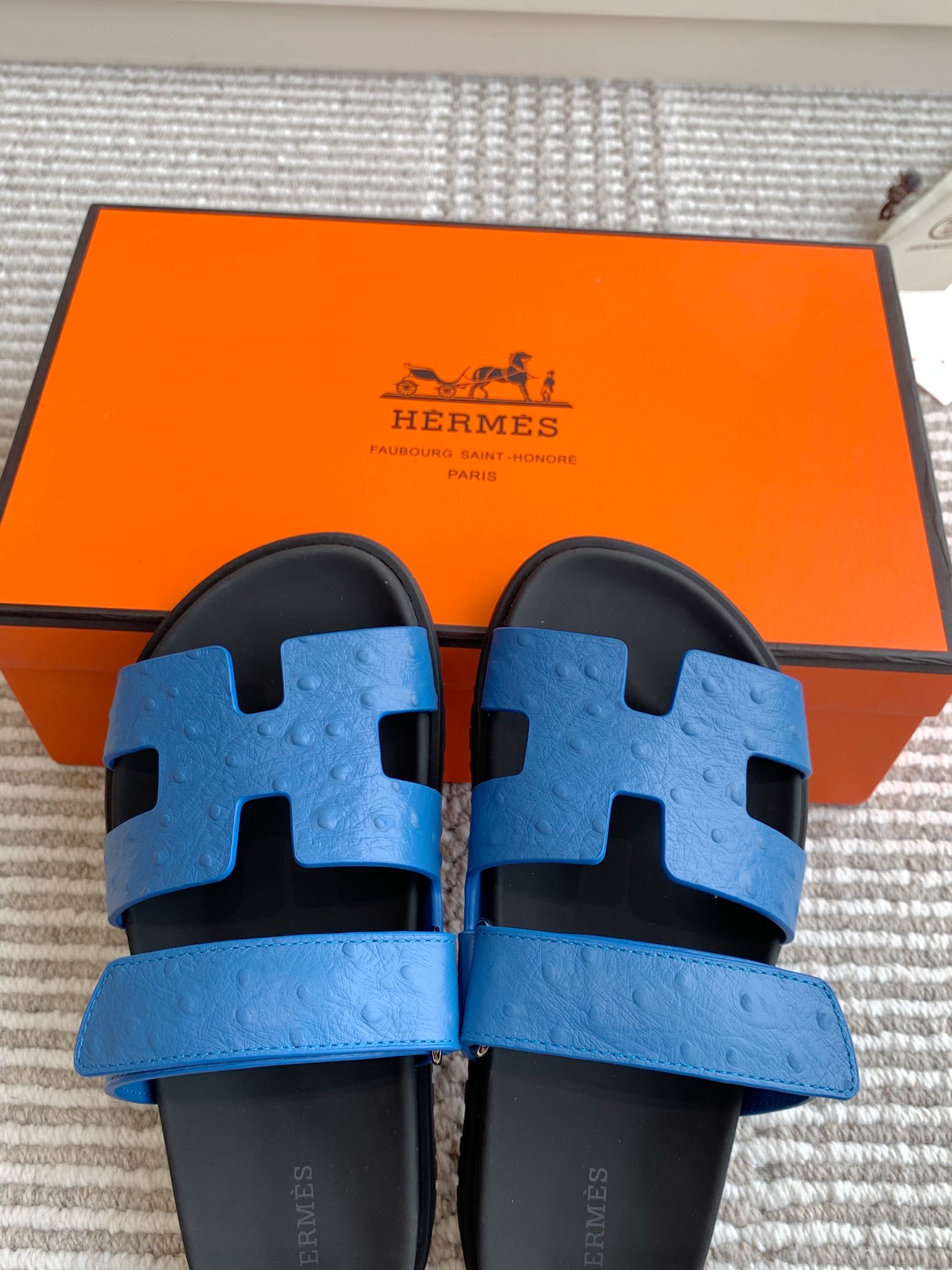 HERMES 00629