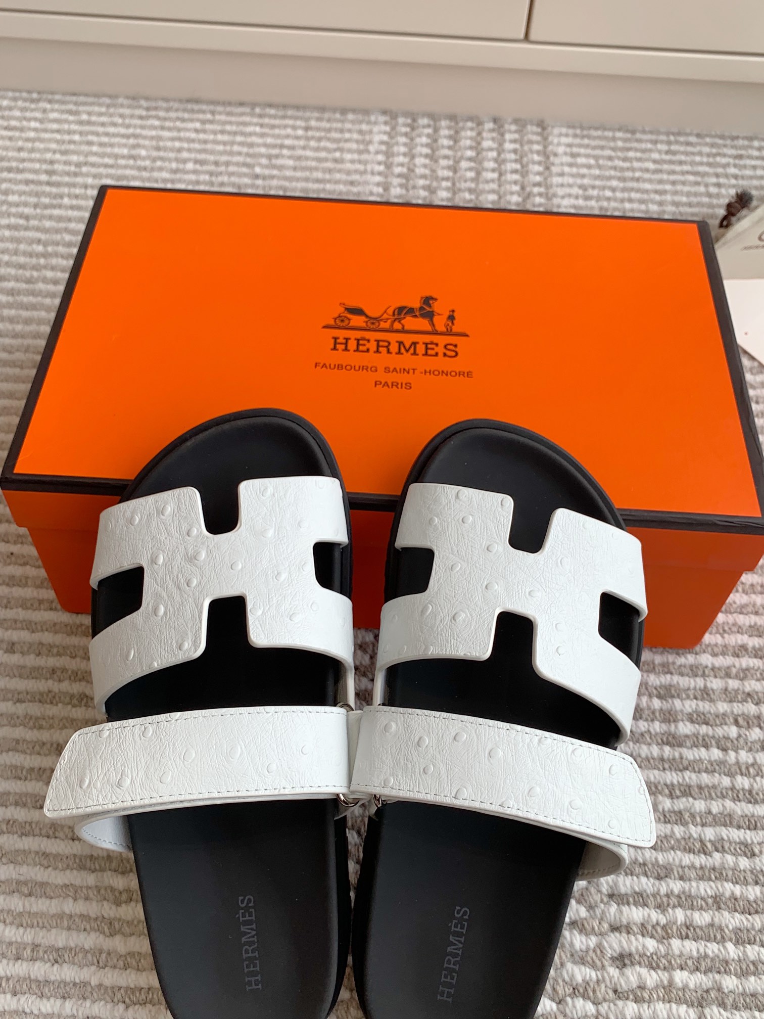 HERMES 00639