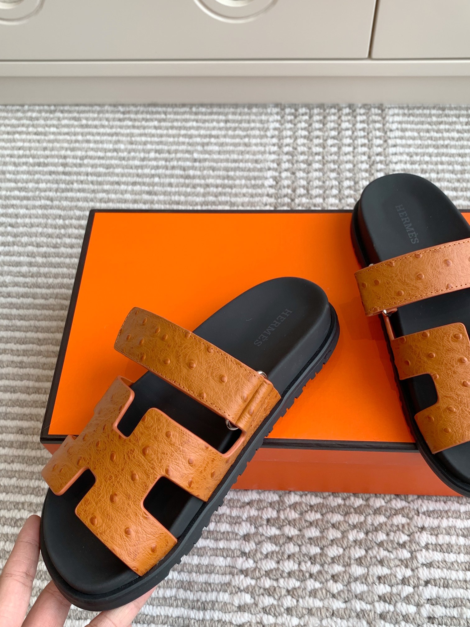 HERMES 00649