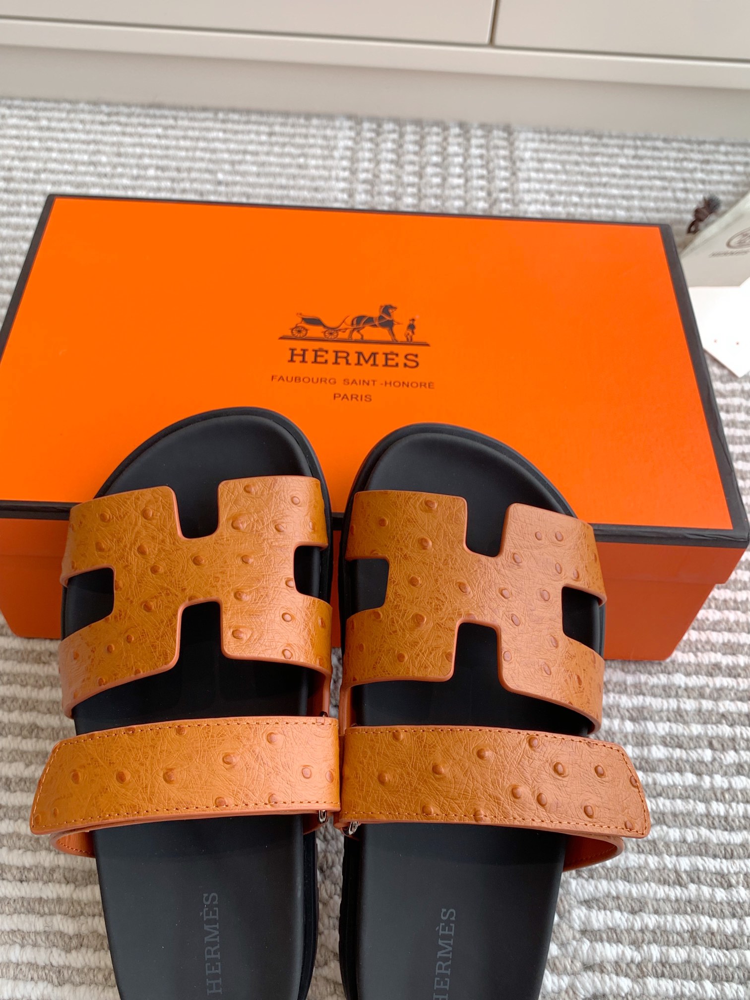 HERMES 00649