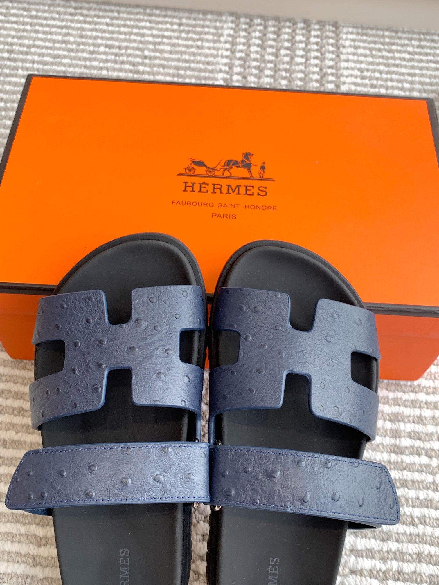 HERMES 00659