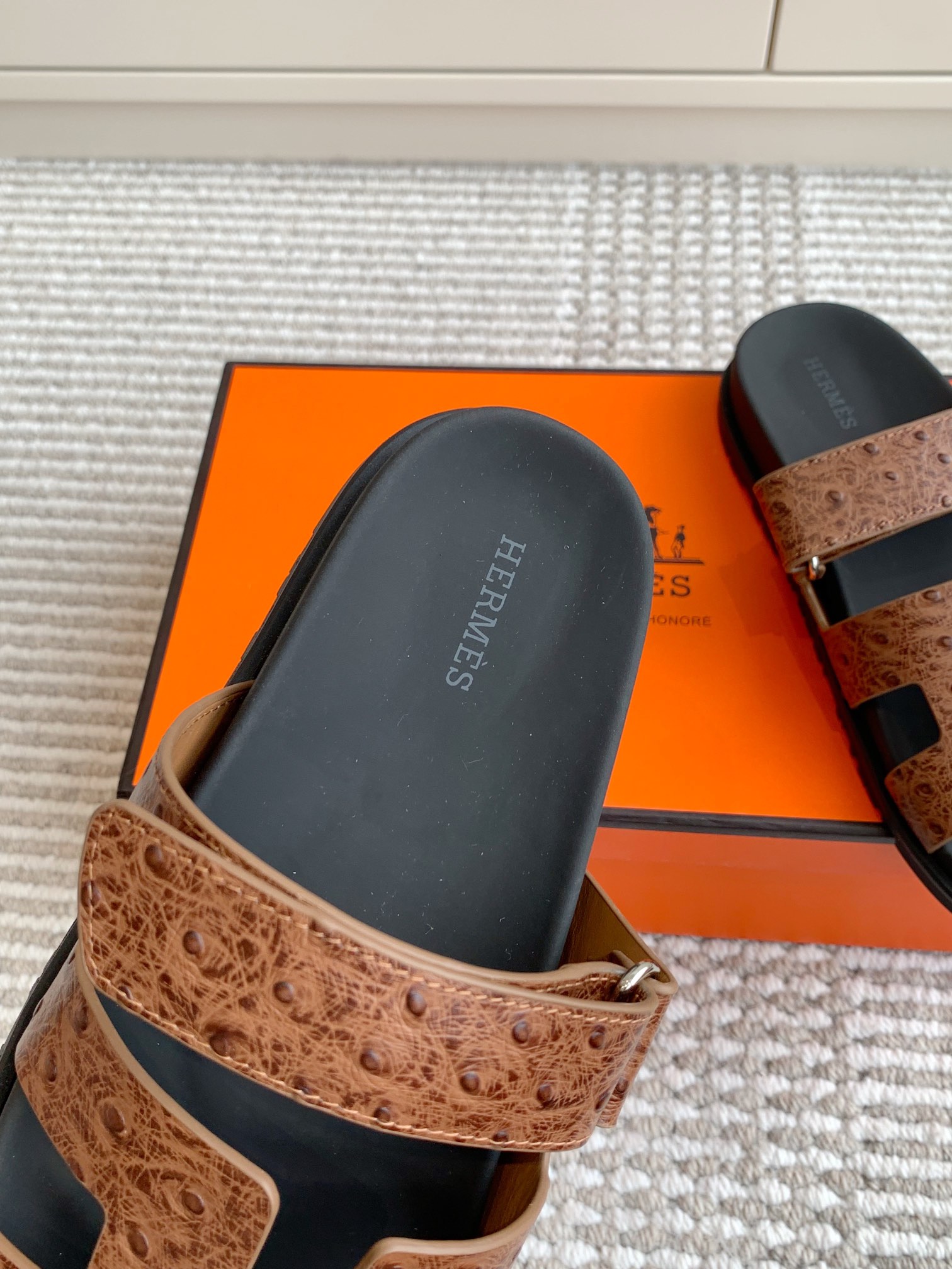 HERMES 00669