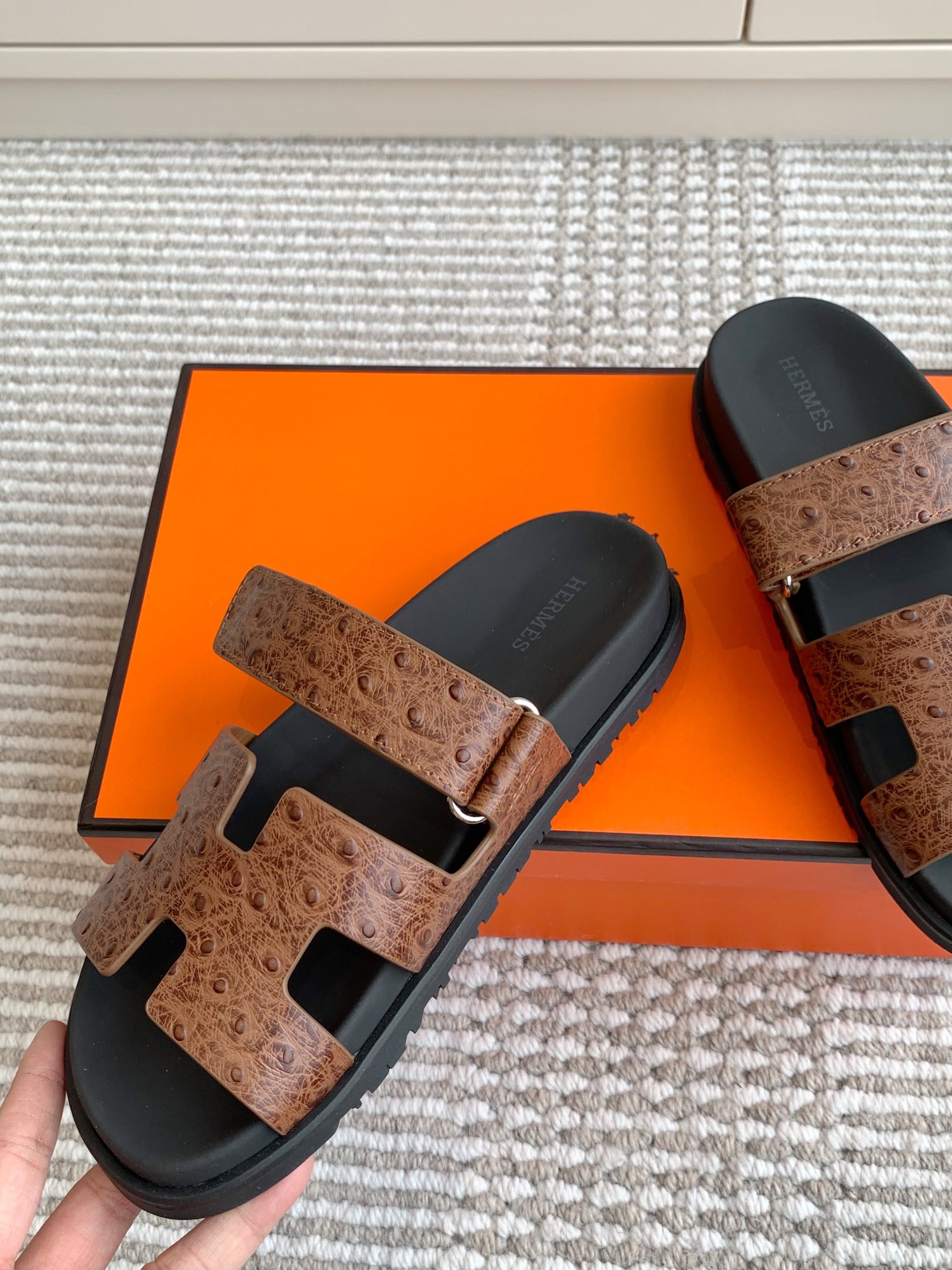 HERMES 00669