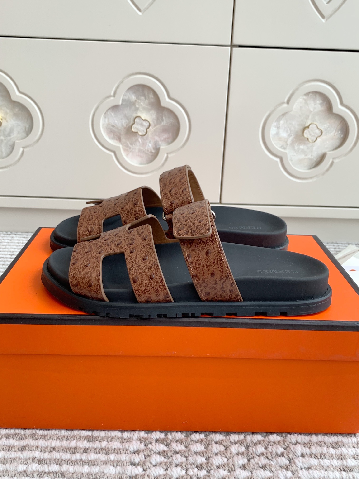 HERMES 00669
