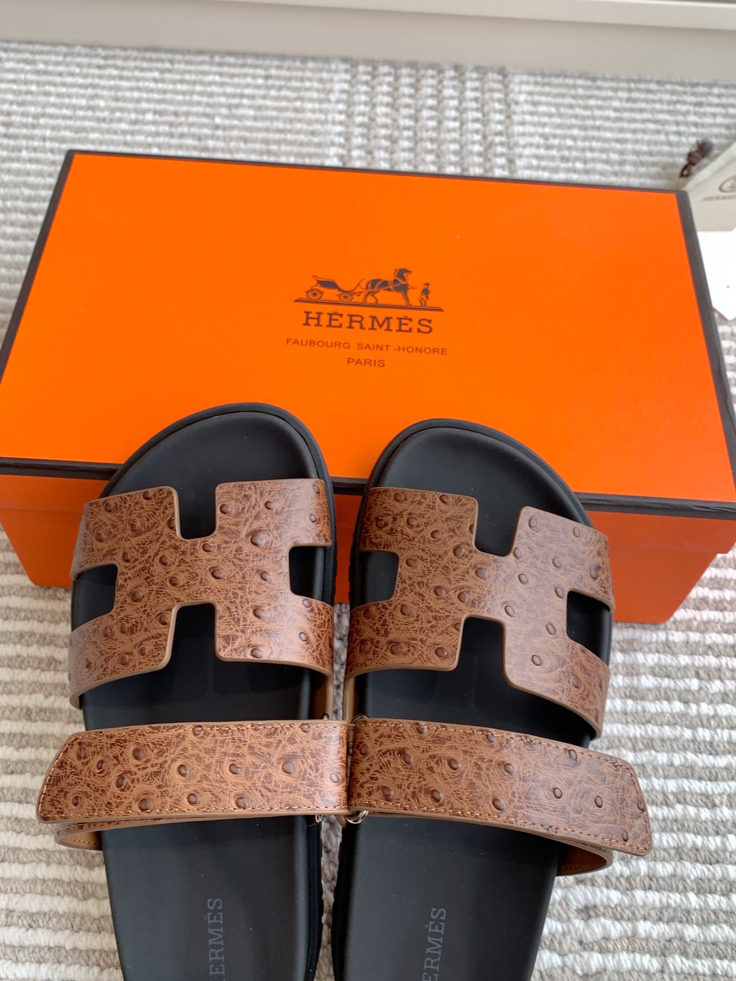 HERMES 00669