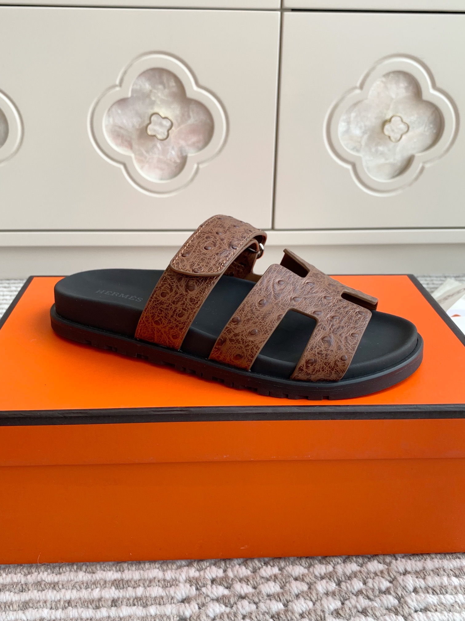 HERMES 00669