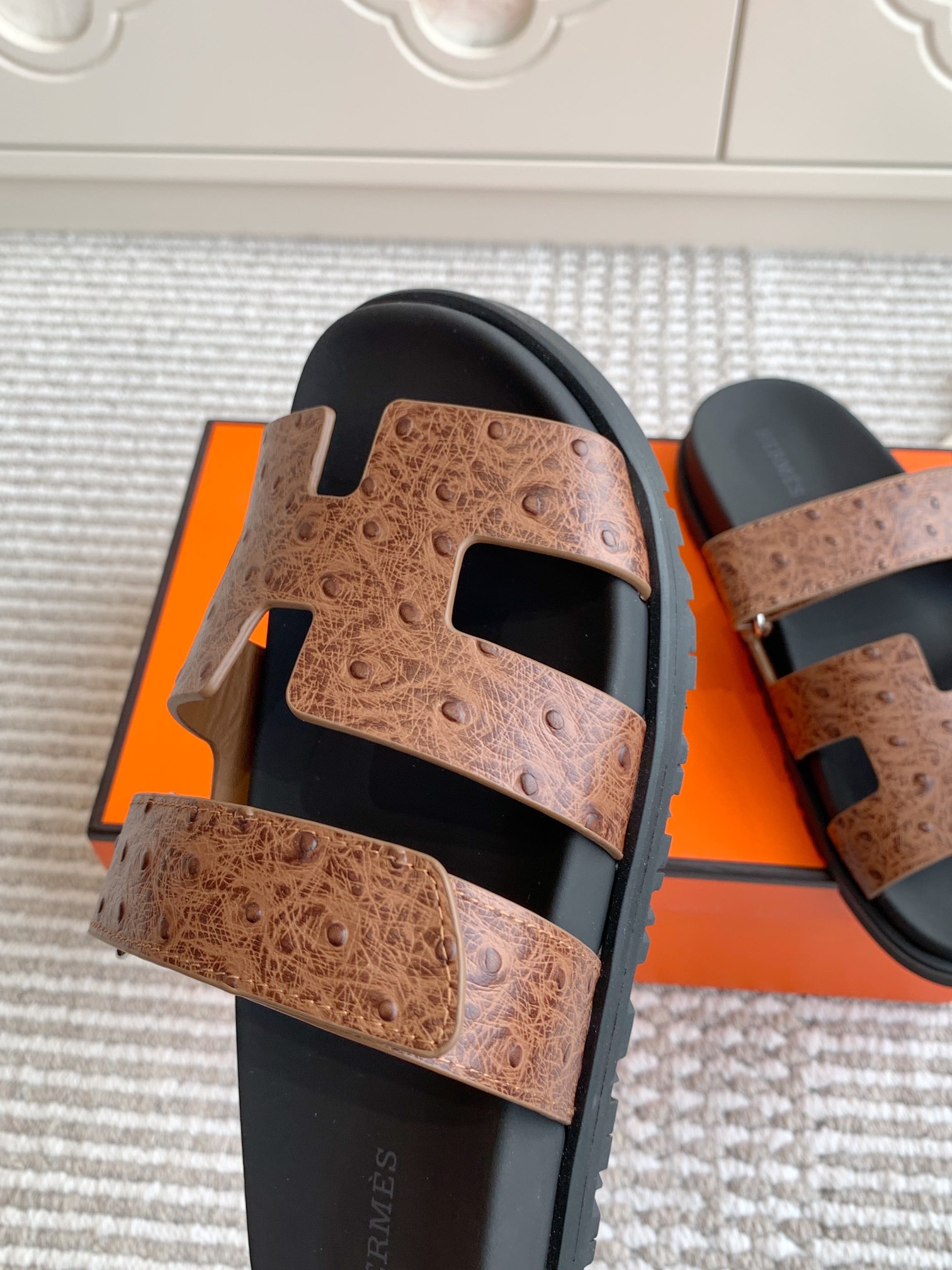 HERMES 00669