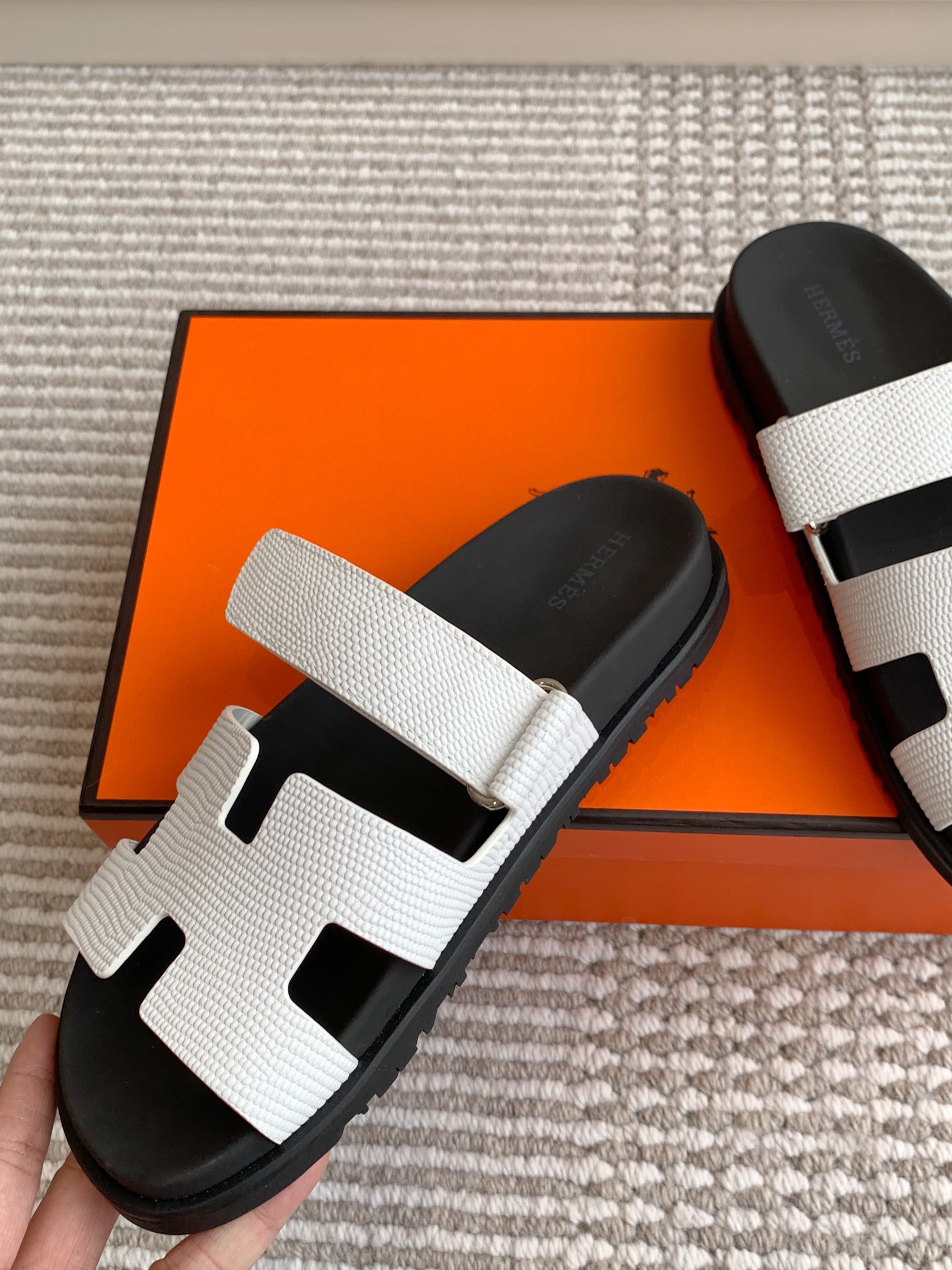 HERMES 00679
