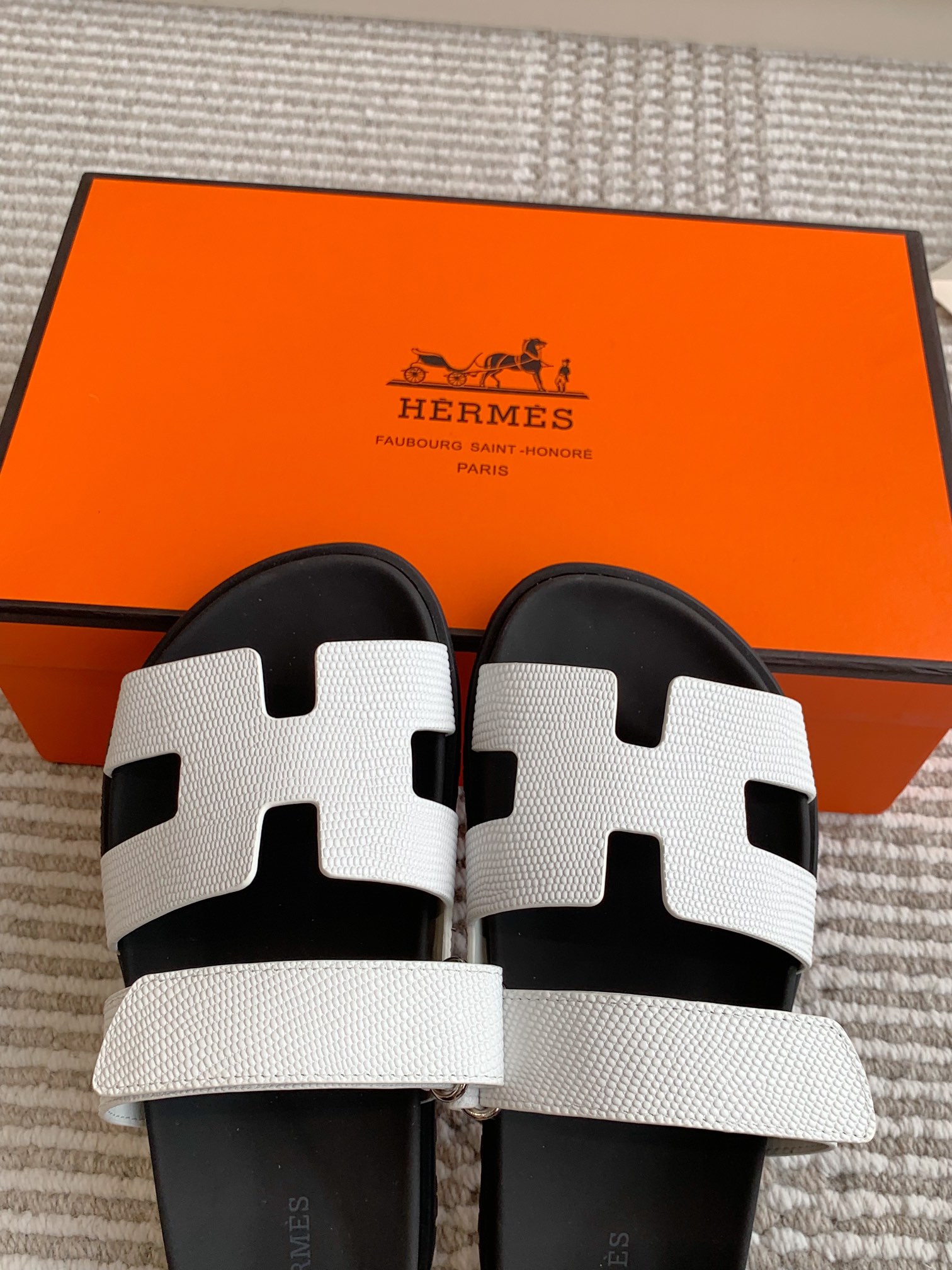 HERMES 00679