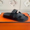 HERMES 00689
