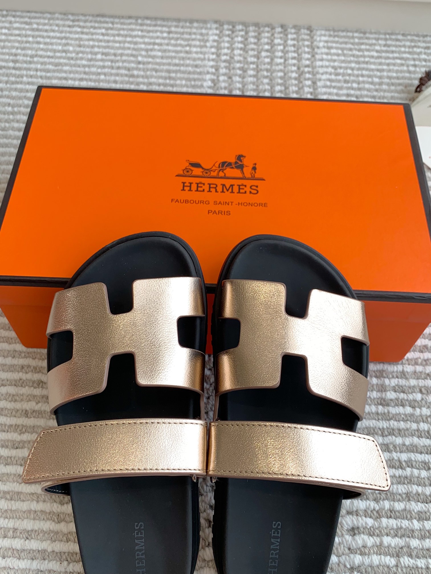 HERMES 00729