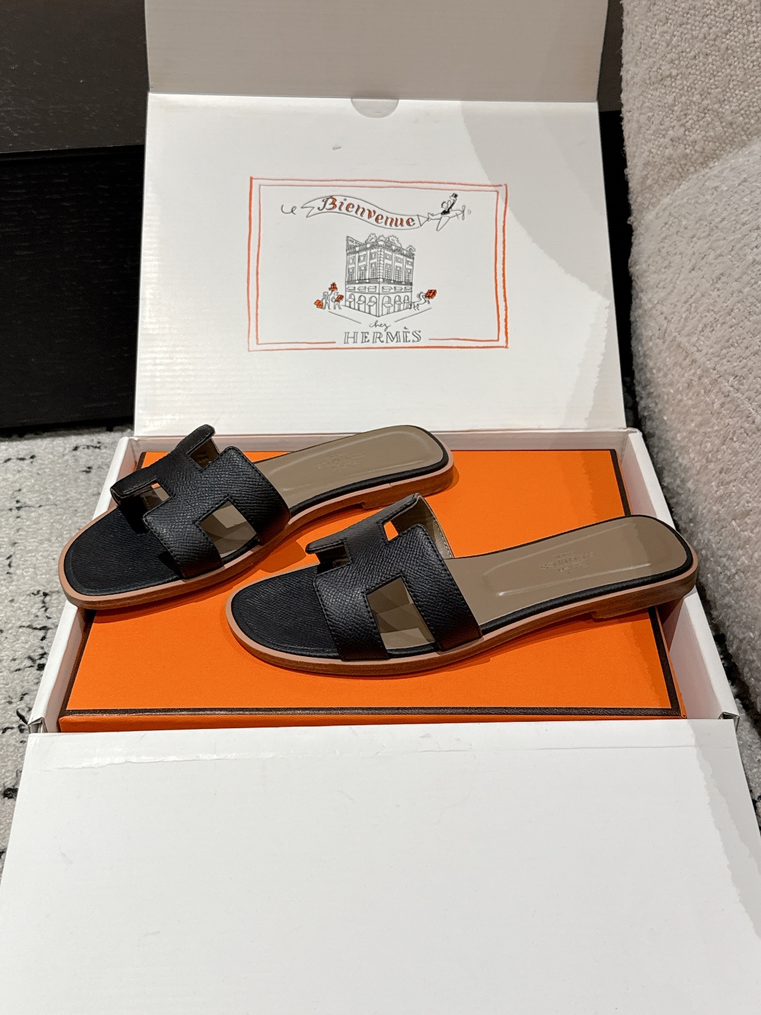 HERMES 00869 HERMES 00869