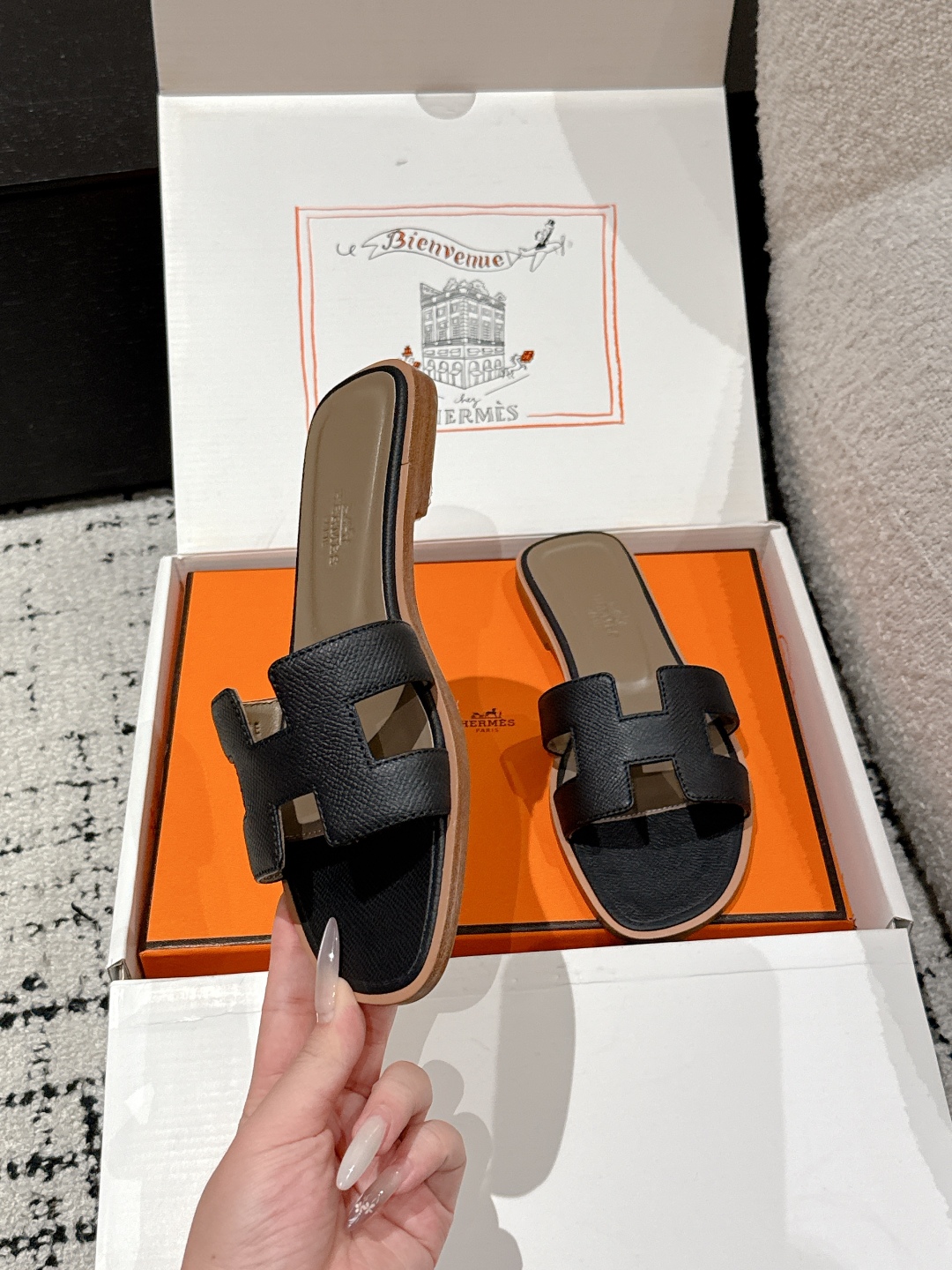 HERMES 00869 HERMES 00869