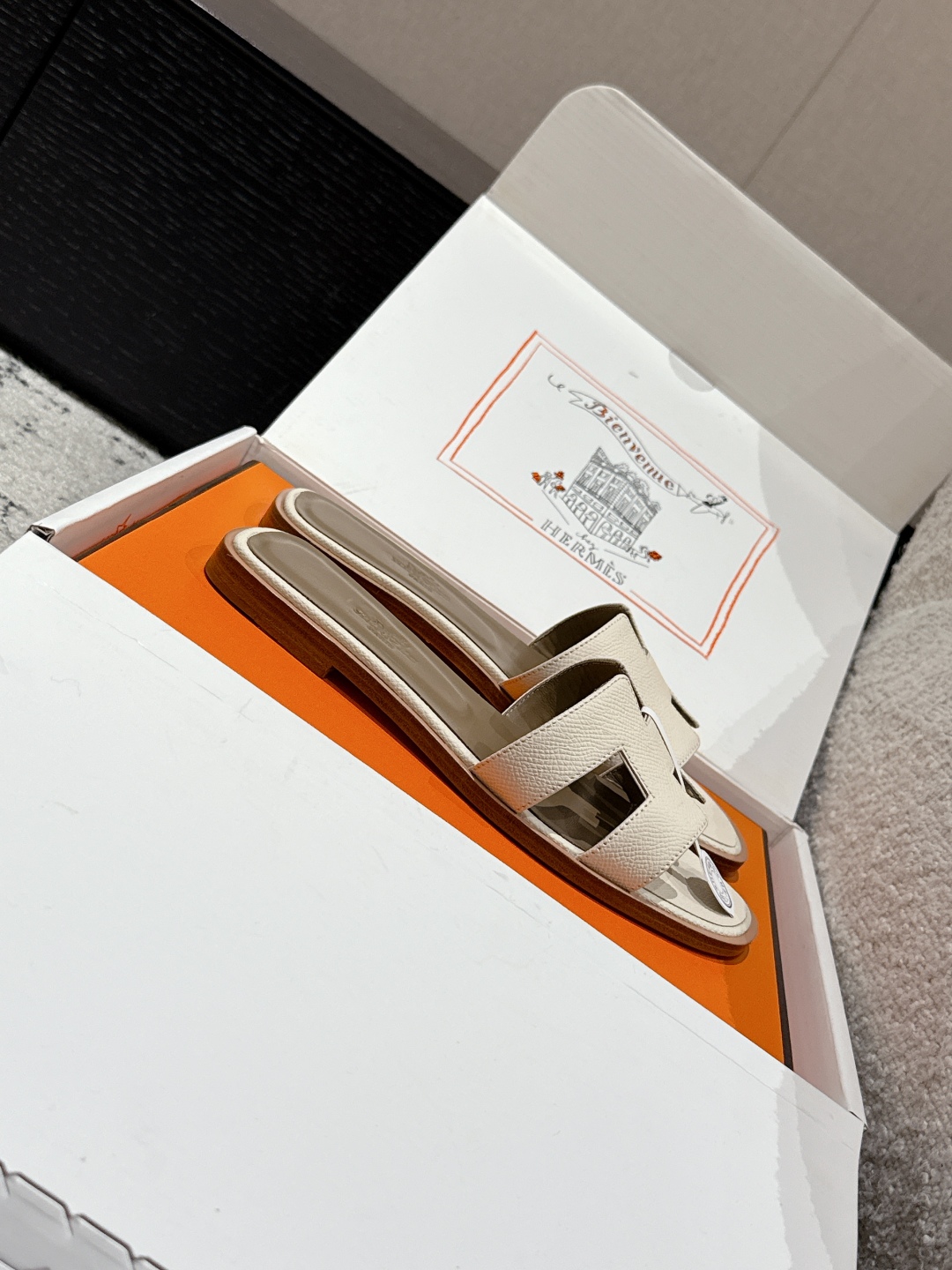HERMES  00919