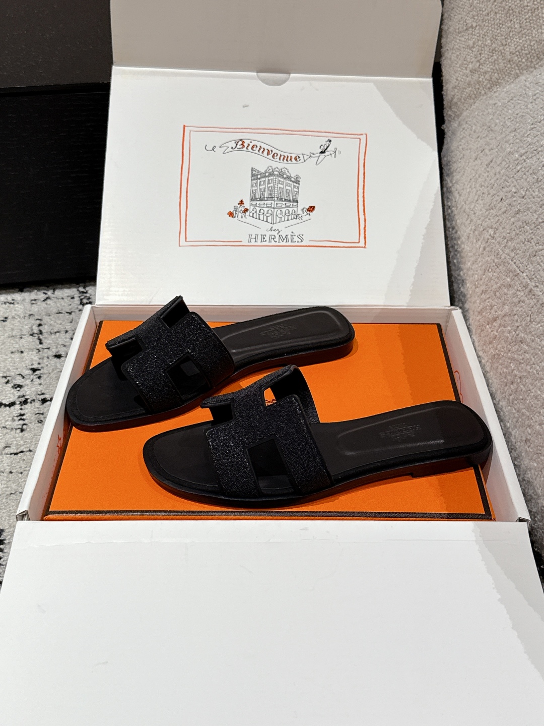 HERMES 01069 HERMES 01069