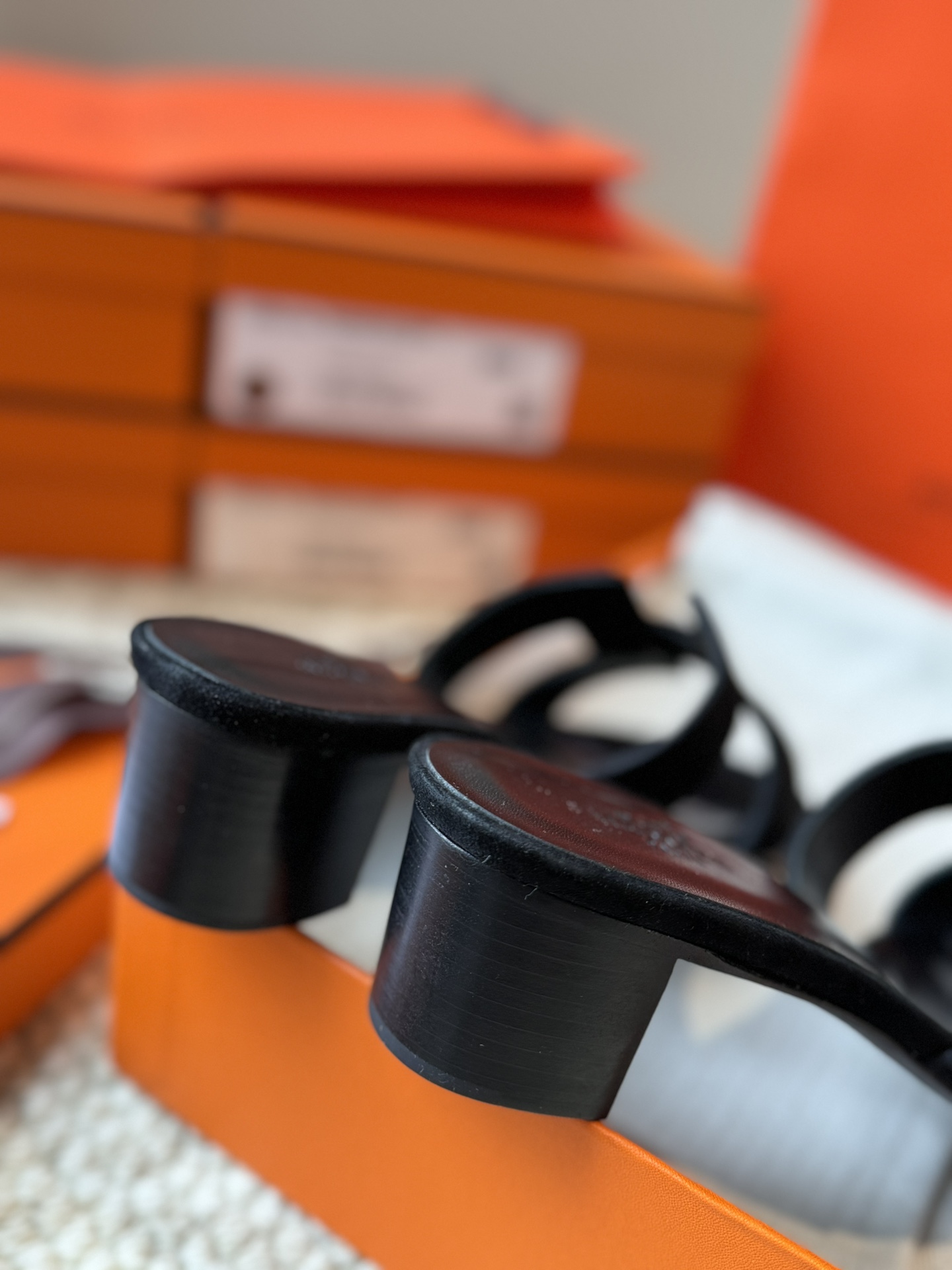 HERMES 01169