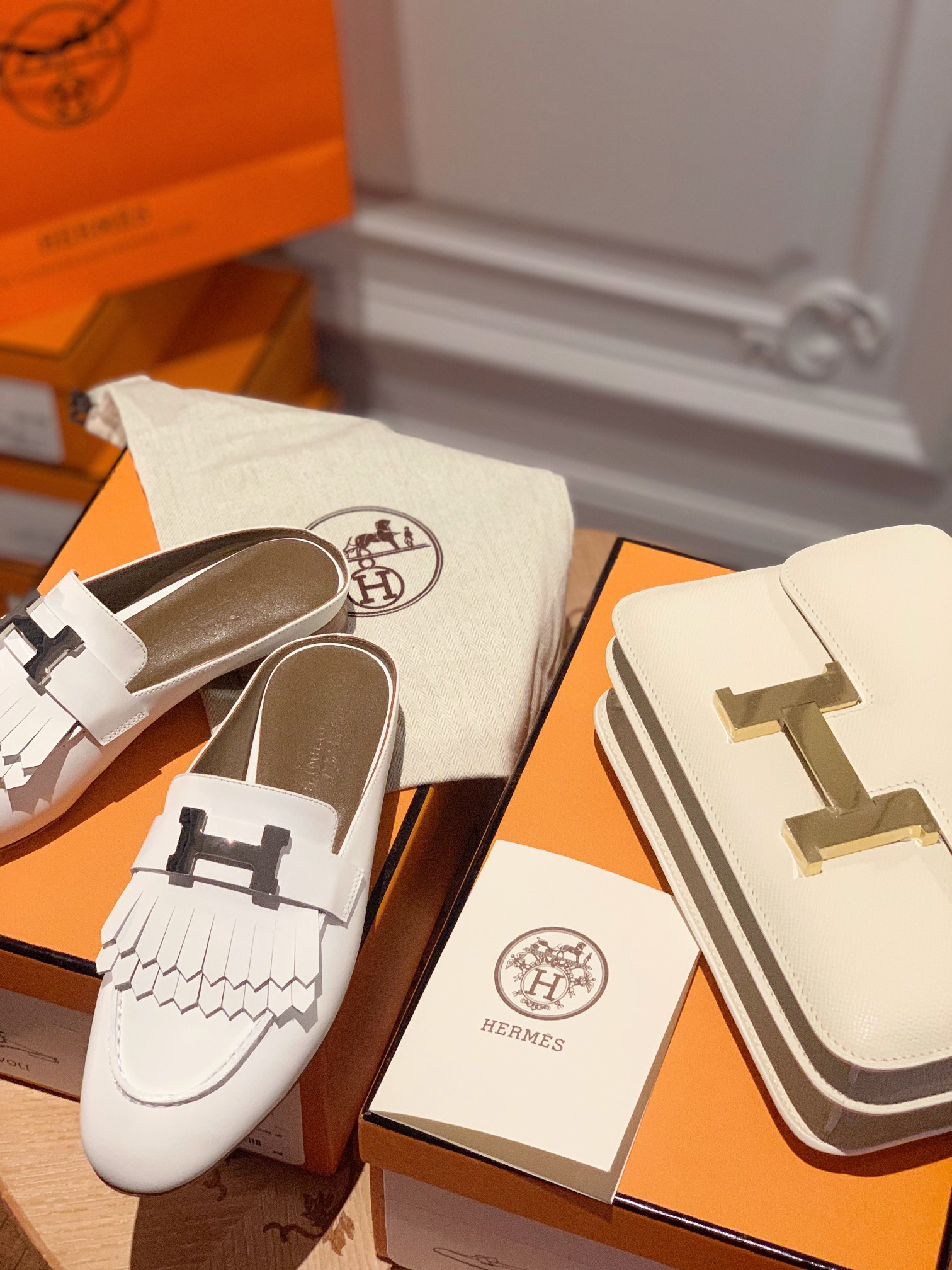 HERMES  01169