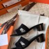 HERMES 01169