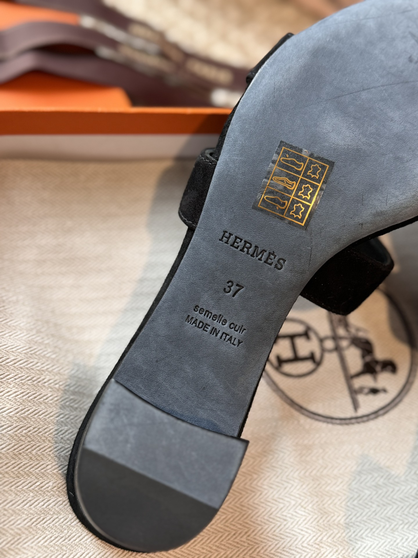 HERMES 01169