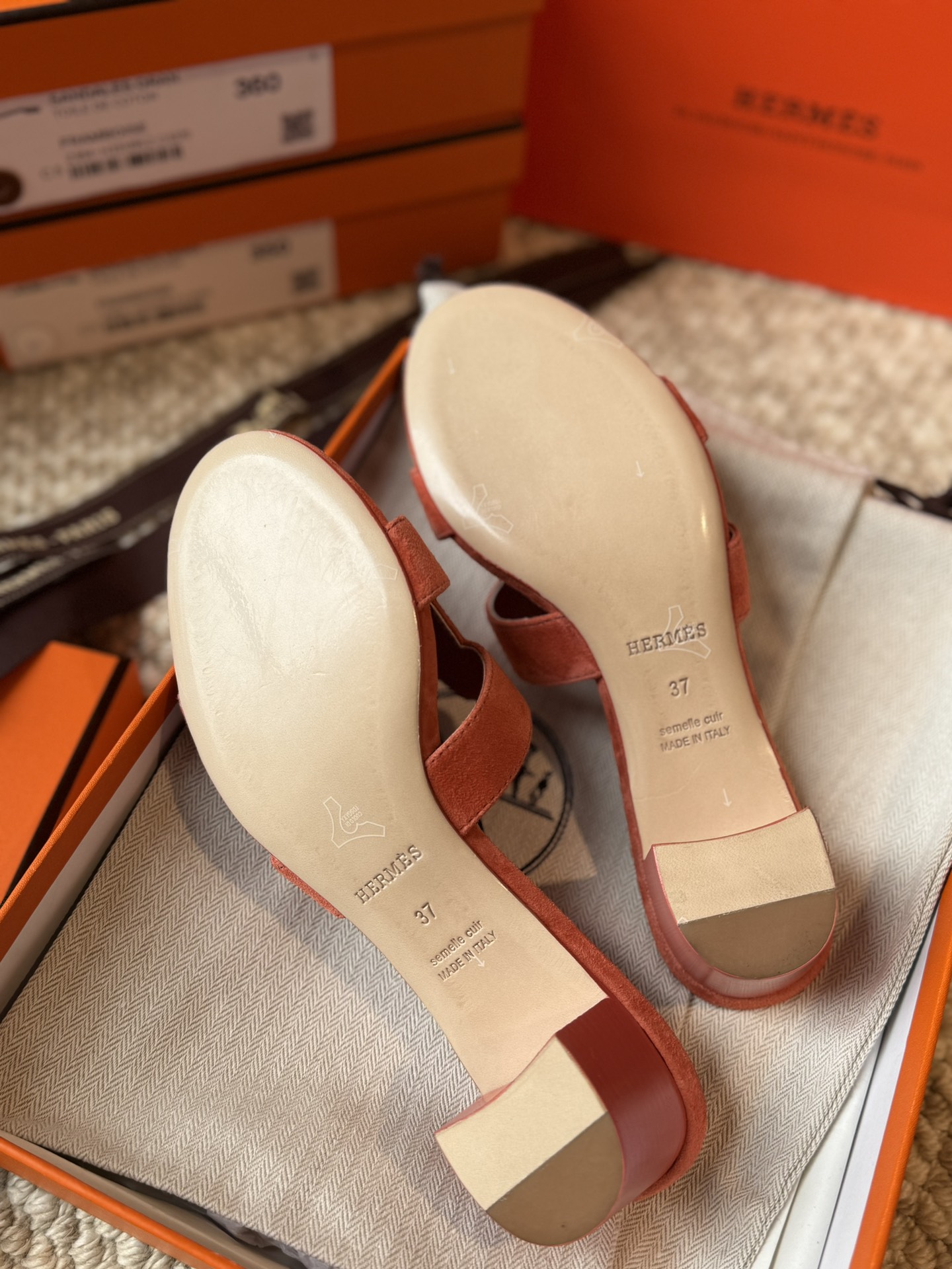 HERMES 01179