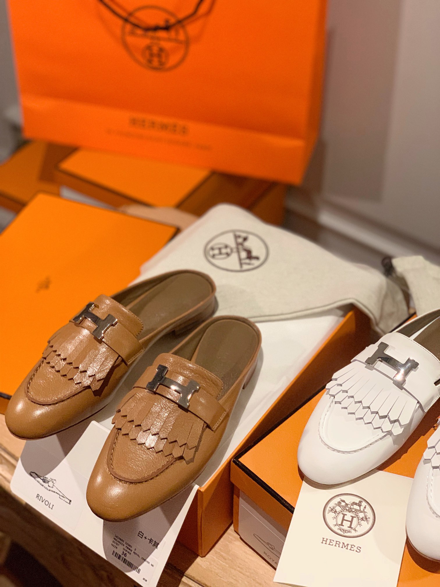 HERMES  01179