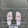 Hermes sandals Chypre Rose Porcelain Suede Size