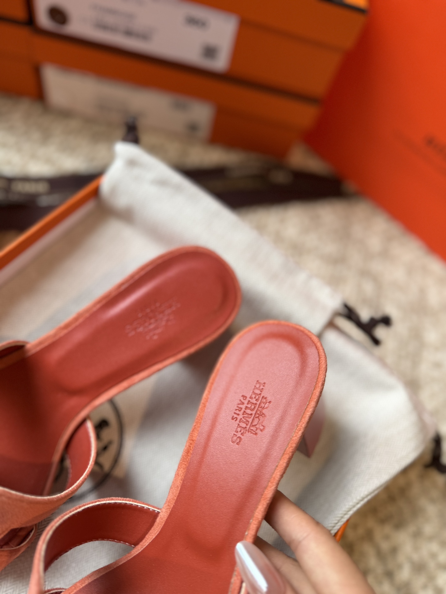 HERMES 01179