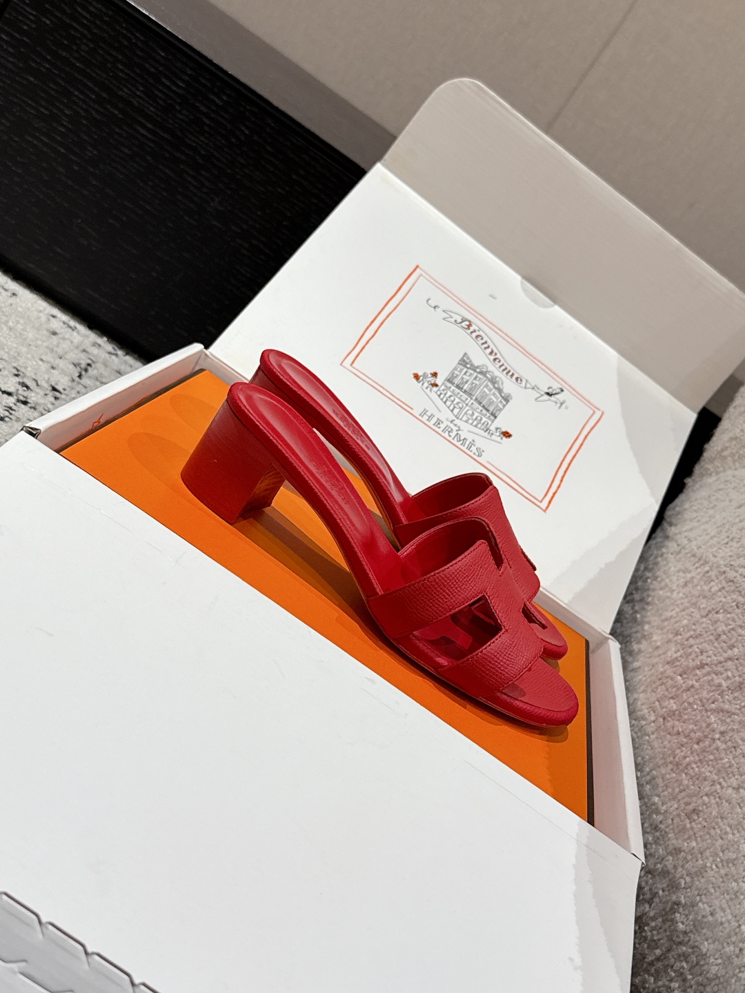 HERMES 01269 HERMES 01269